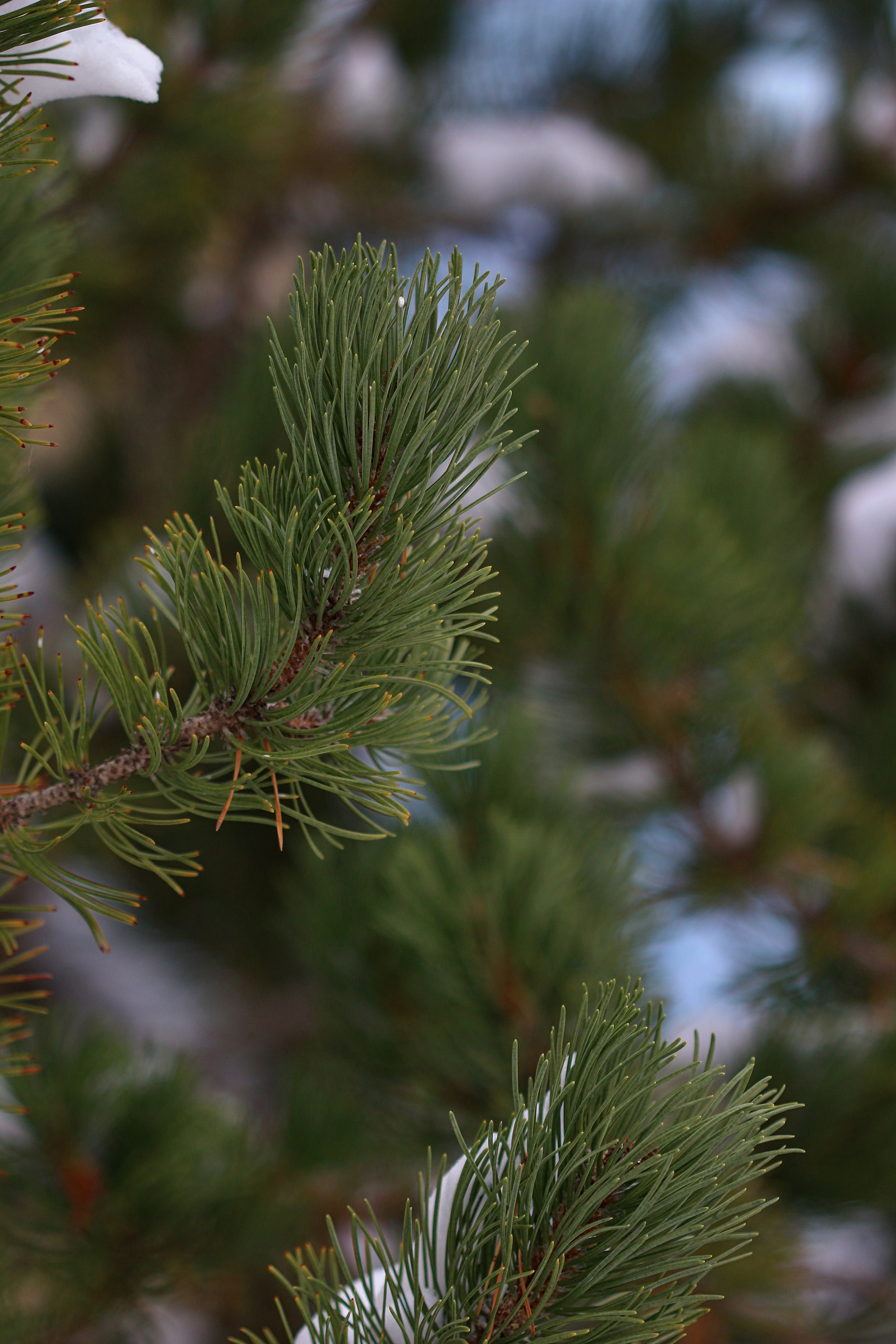 Photo by photo_tanbir