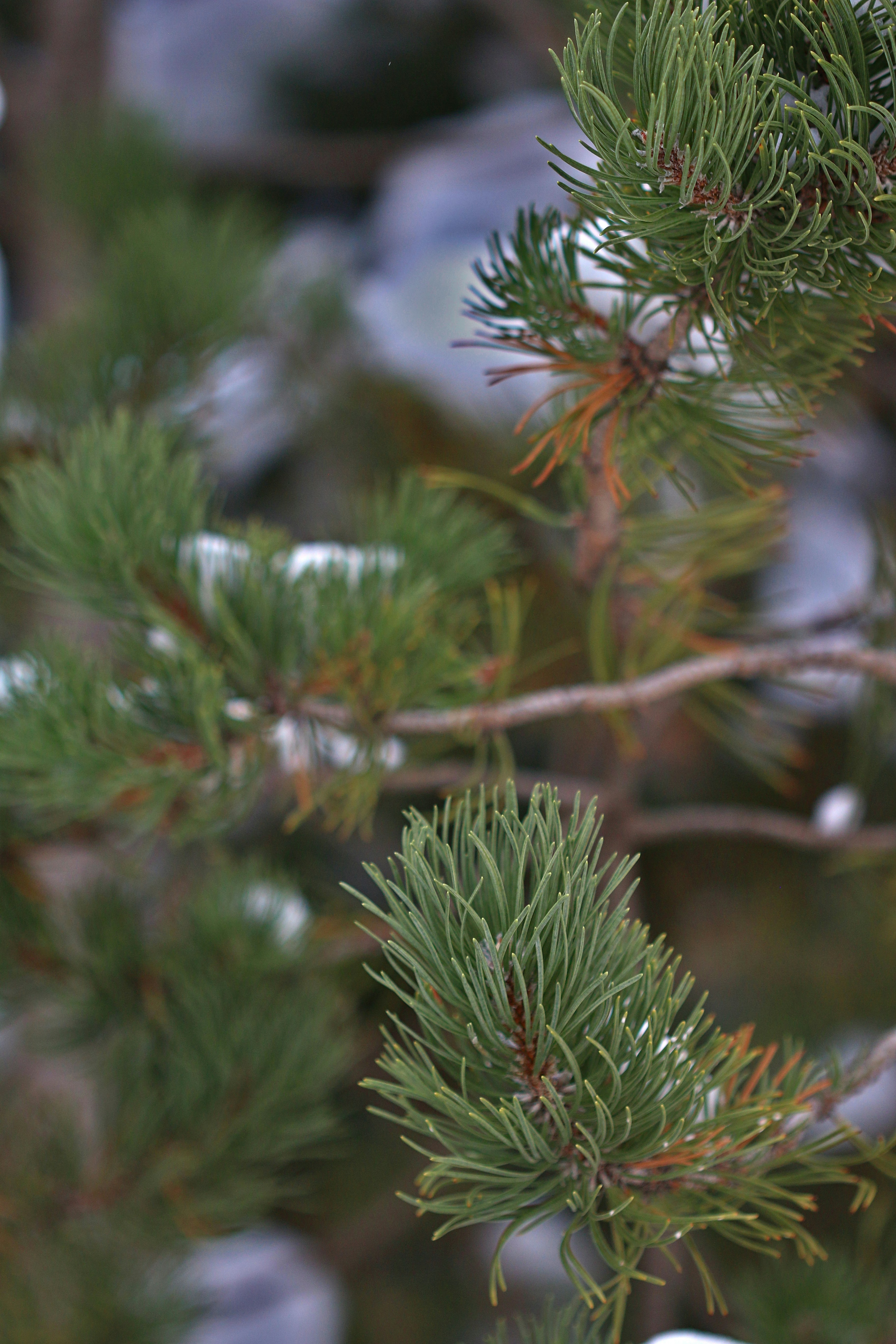 Photo by photo_tanbir