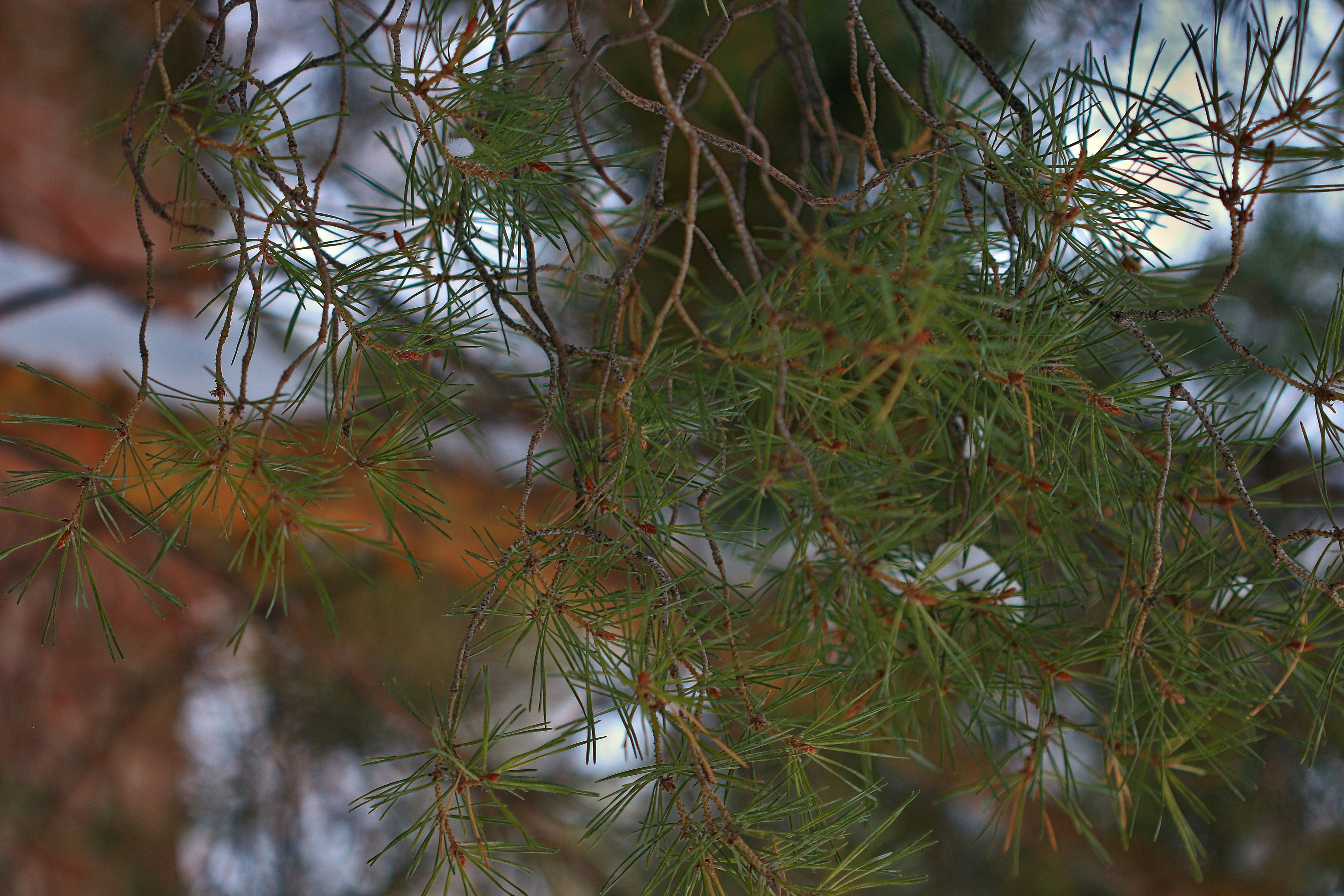 Photo by photo_tanbir