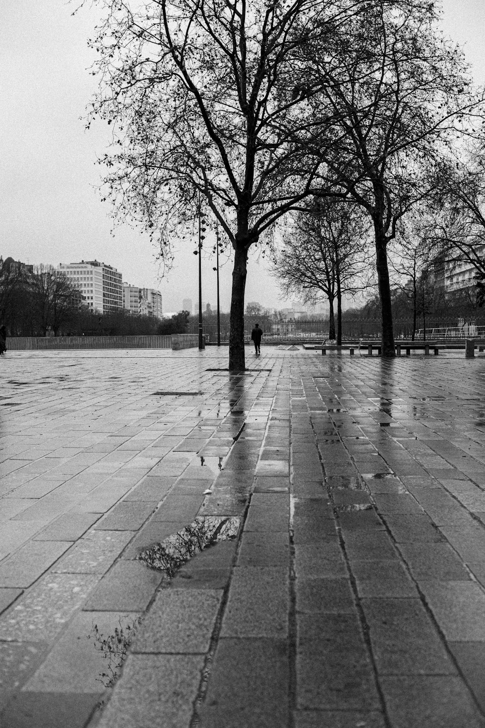 a black and white photo of a person walking in the rain