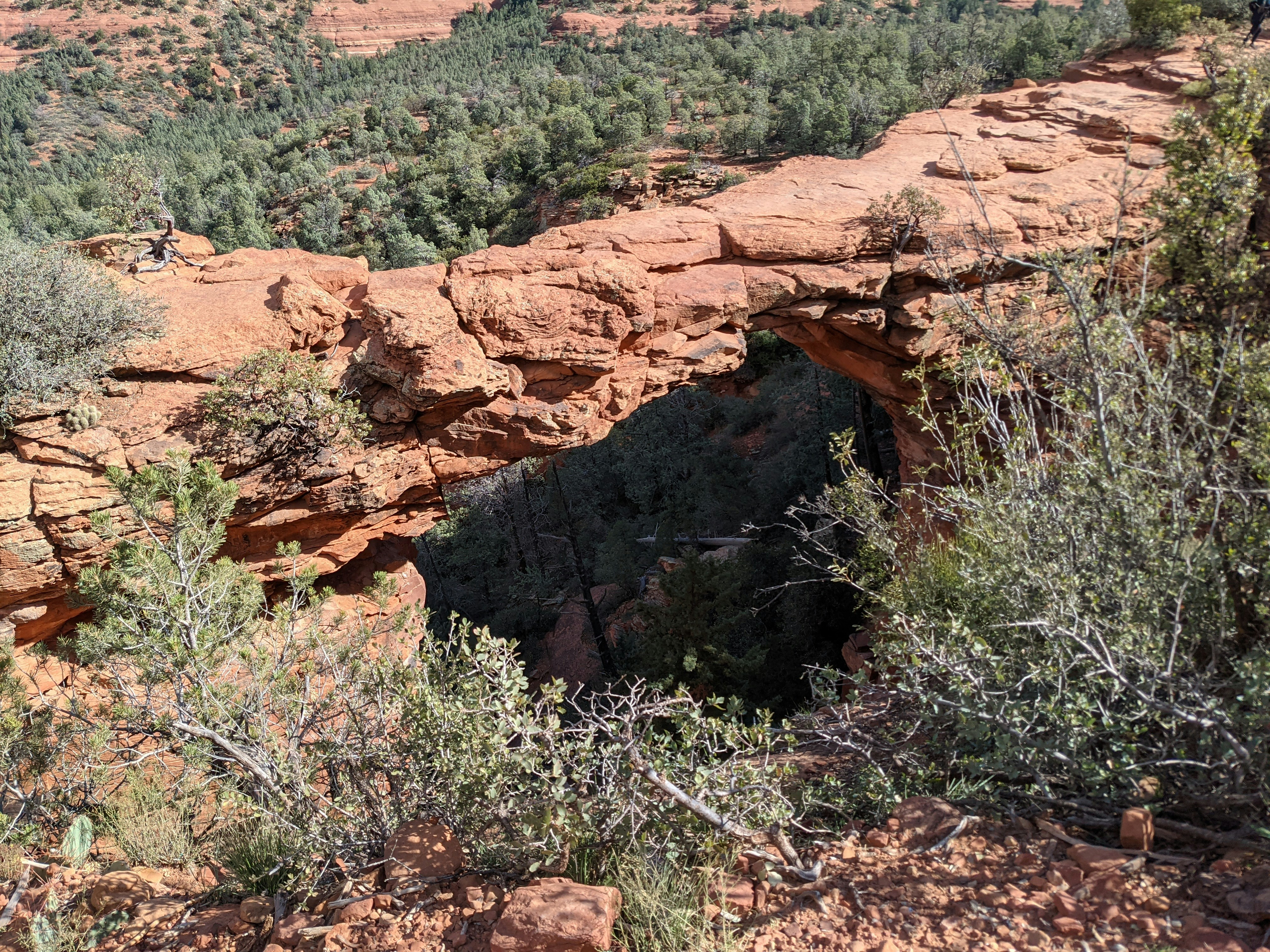 Photo by travelingzombie