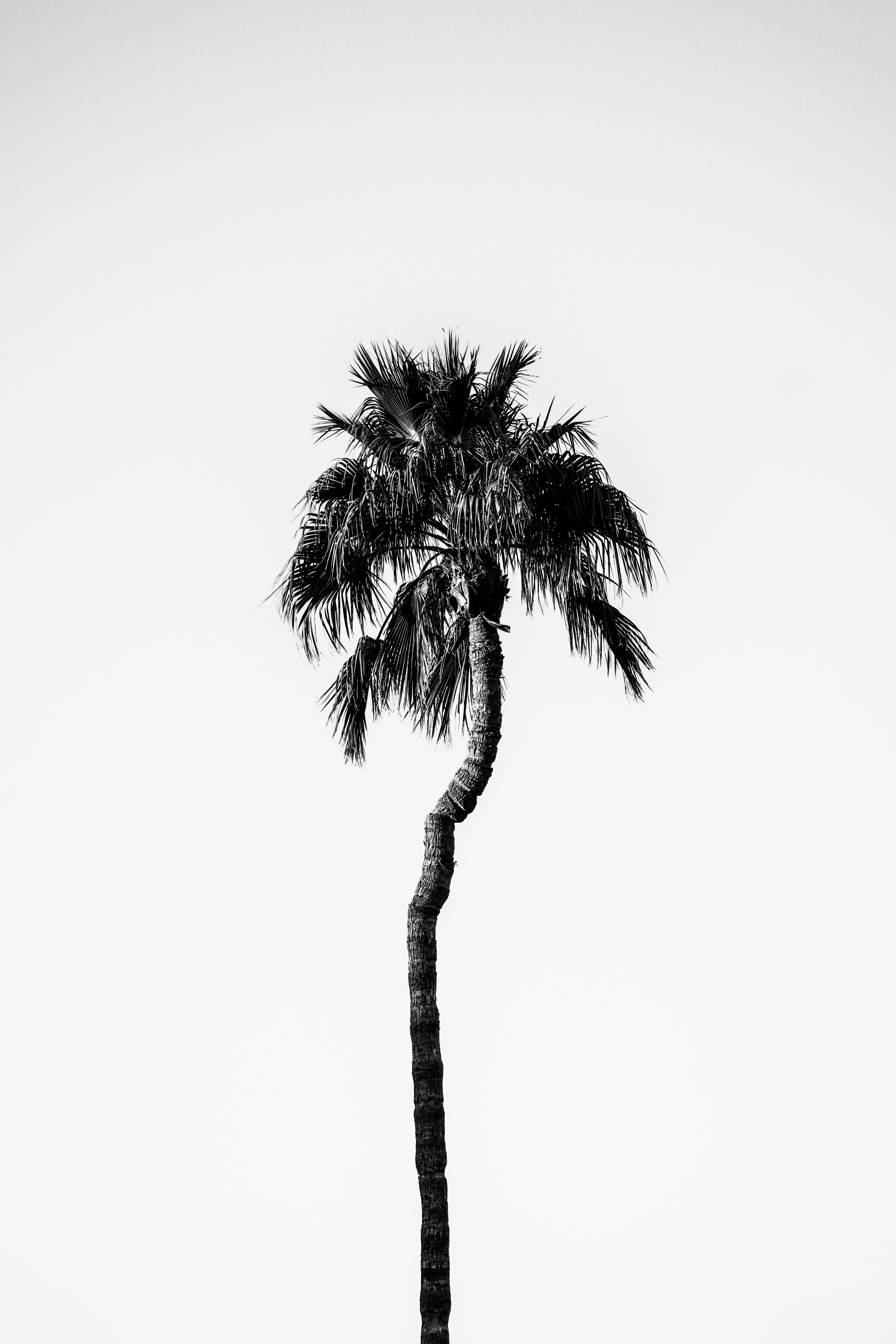 Photo by goodkarmaphoto