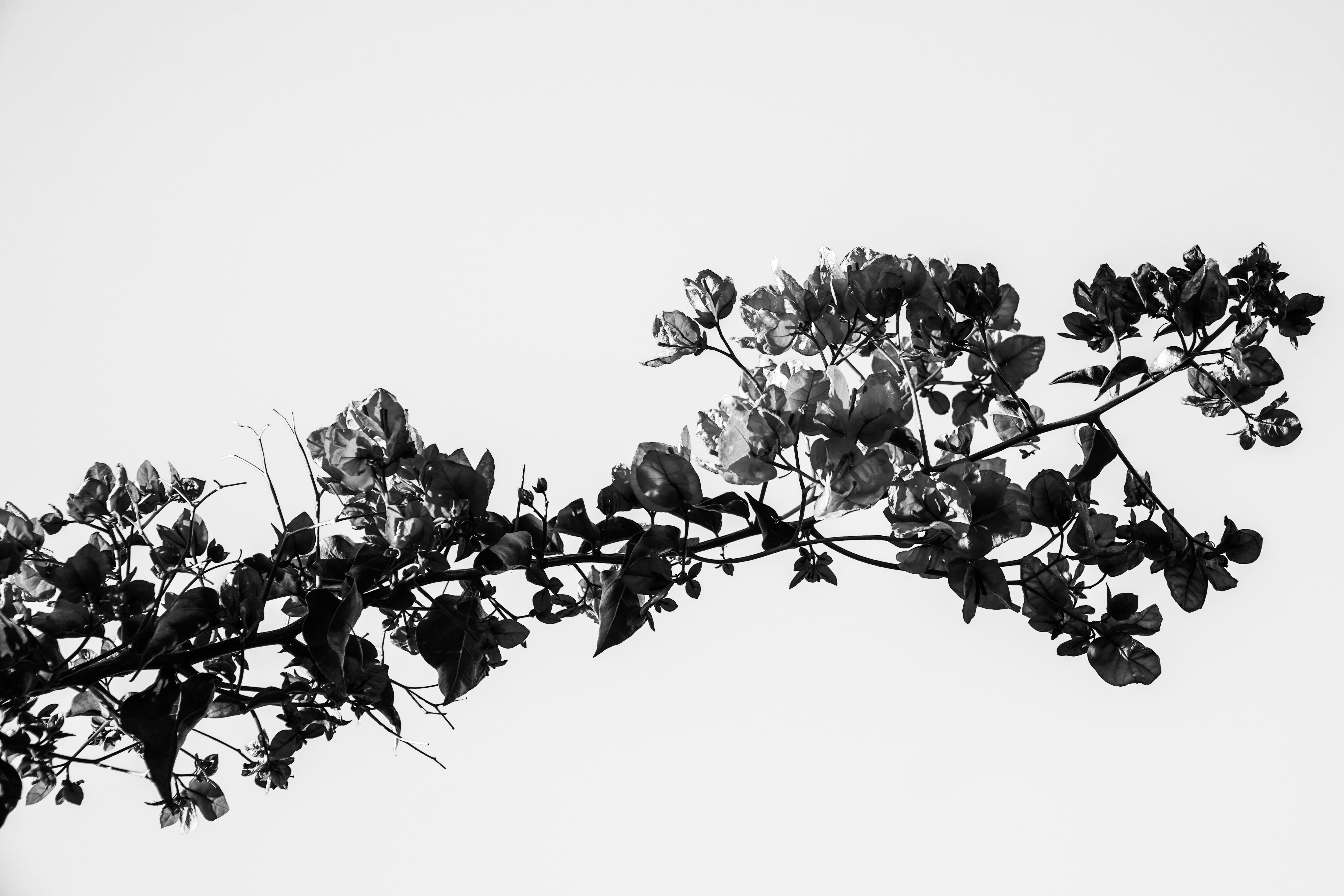 Photo by goodkarmaphoto