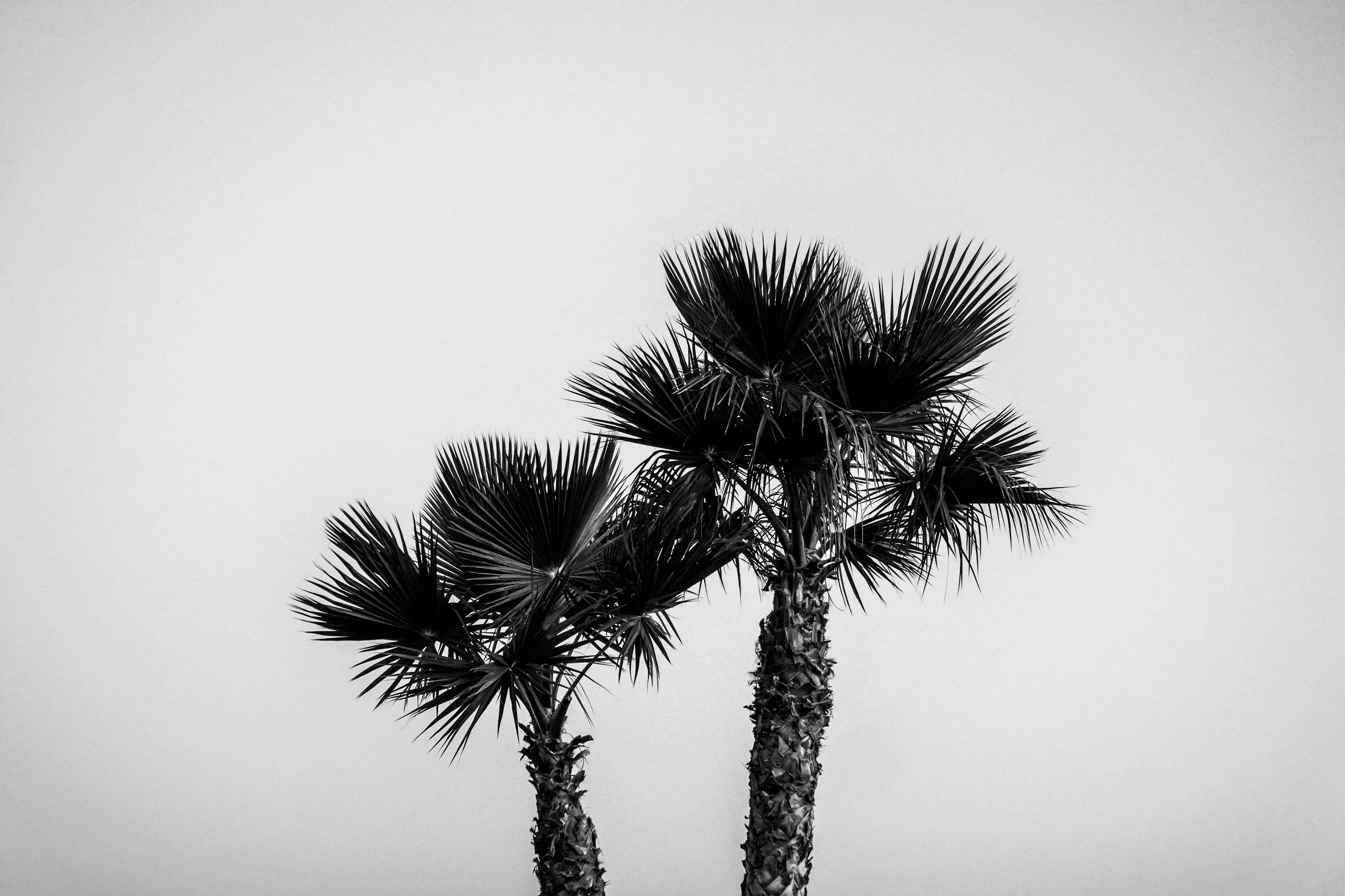 Photo by goodkarmaphoto