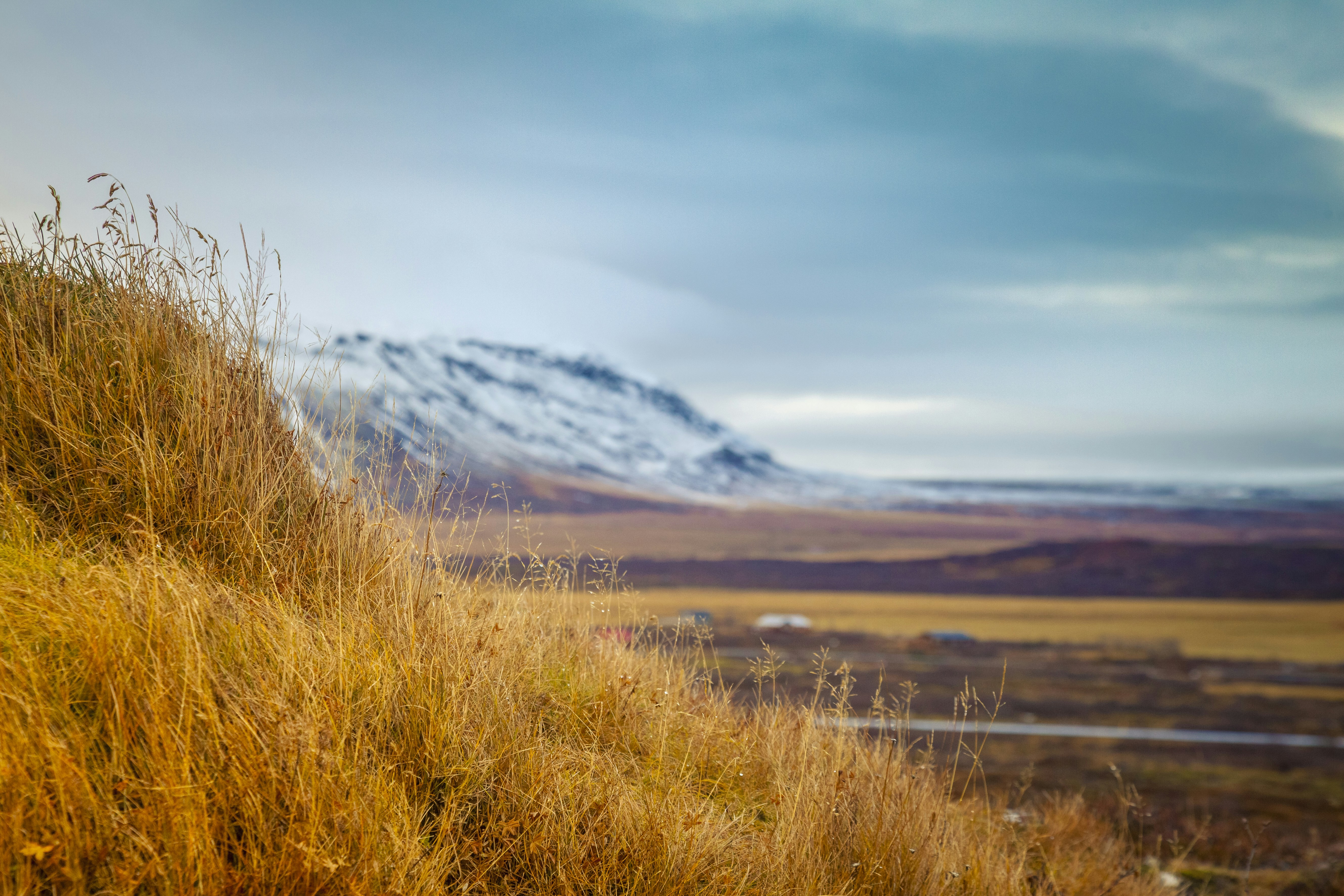 a grassy hill with a mountain in the background, 