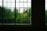 Large windows with grid-like frames create a pattern of frosted glass squares, with one clear pane revealing lush green foliage outside.