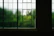 A sleek window featuring invisible grills with a clear view of the garden outside.