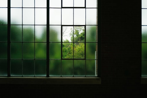 Large windows with grid-like frames create a pattern of frosted glass squares, with one clear pane revealing lush green foliage outside.