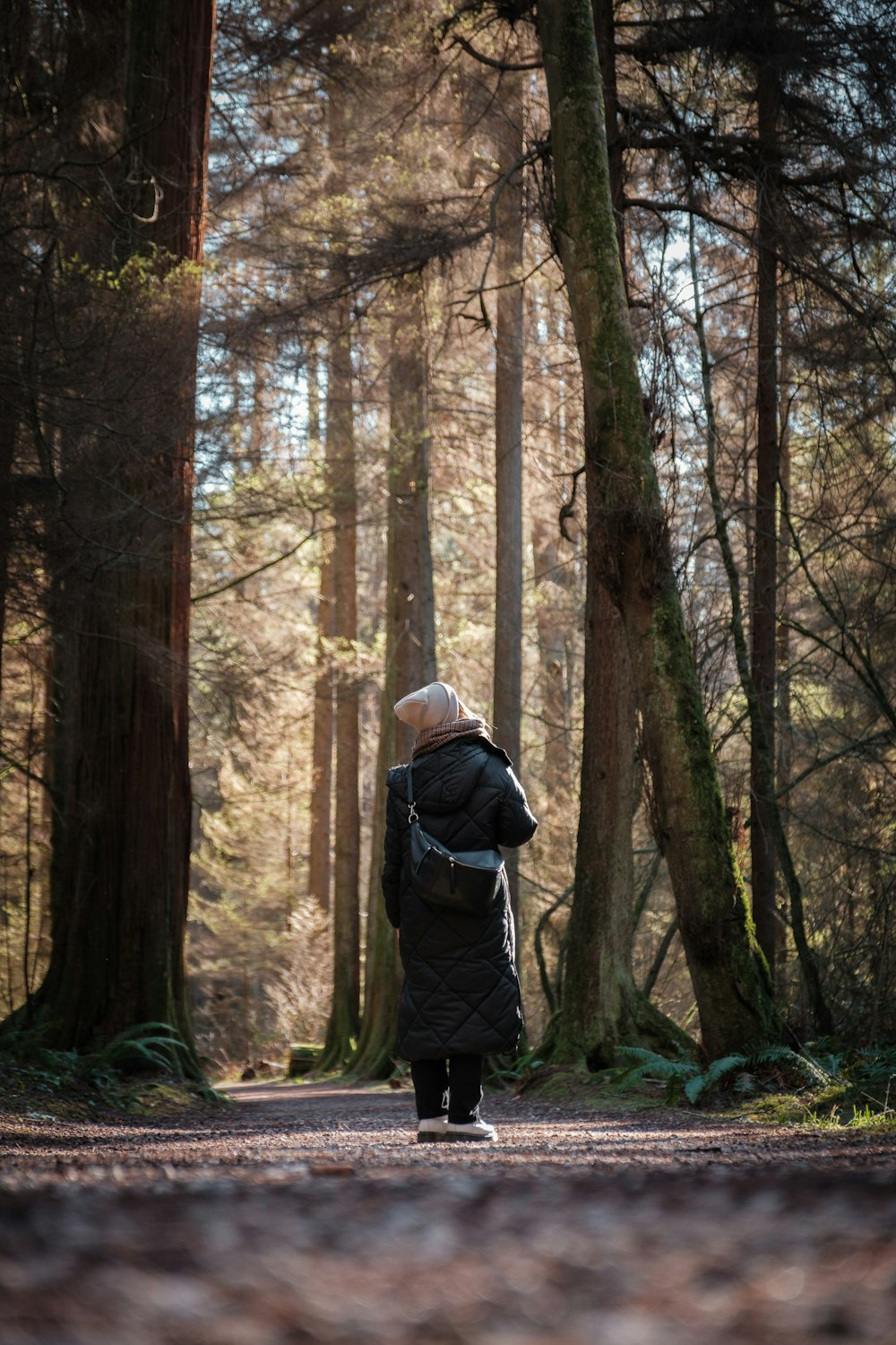 a person standing in the middle of a forest