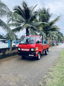 A red mini truck is parked on a road lined with palm trees. The vehicle has Japanese characters on it and a license plate reading JBY 4019. The background shows a cloudy sky and more parked vehicles along the road.