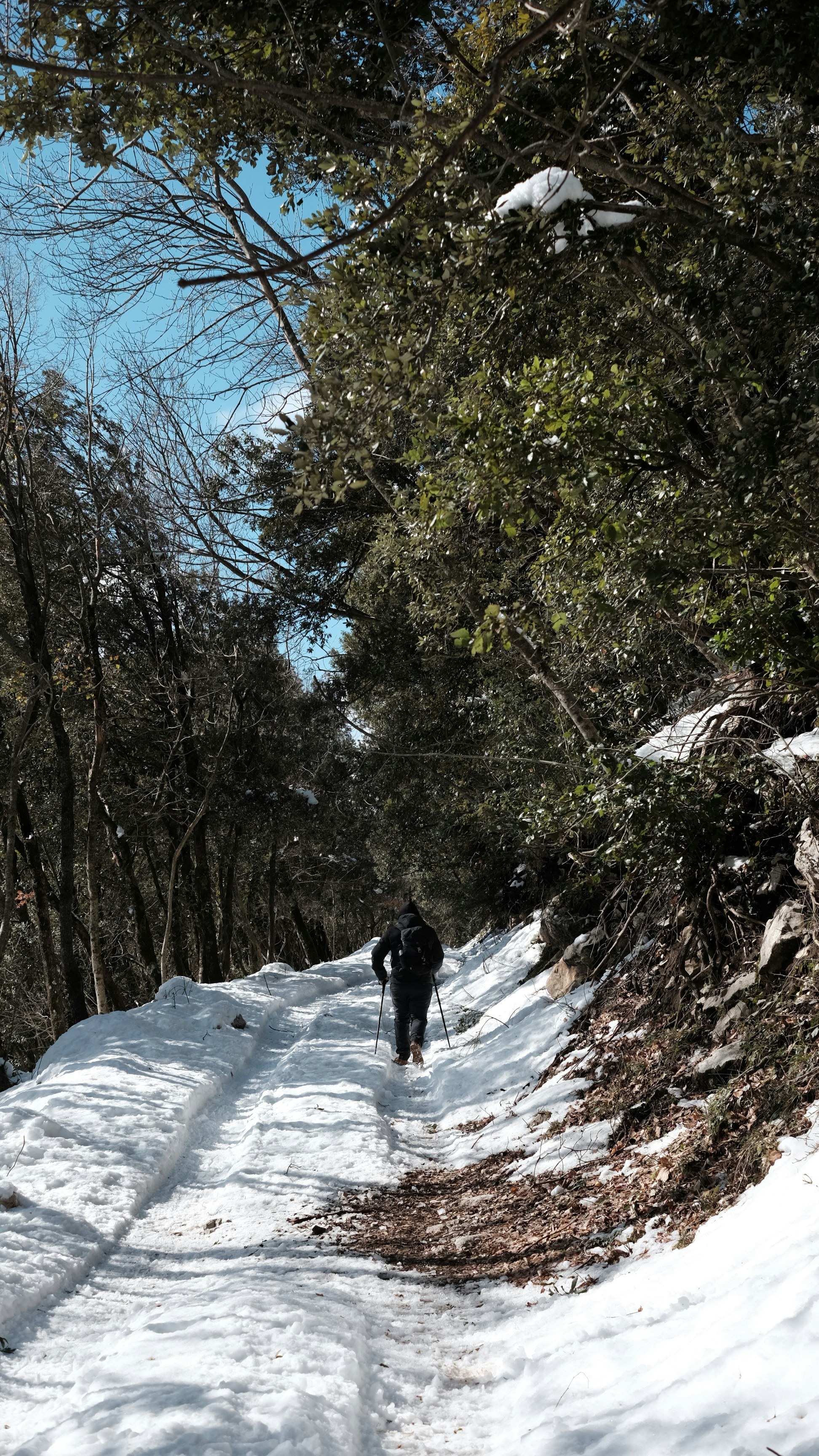 a person walking down a snow covered path