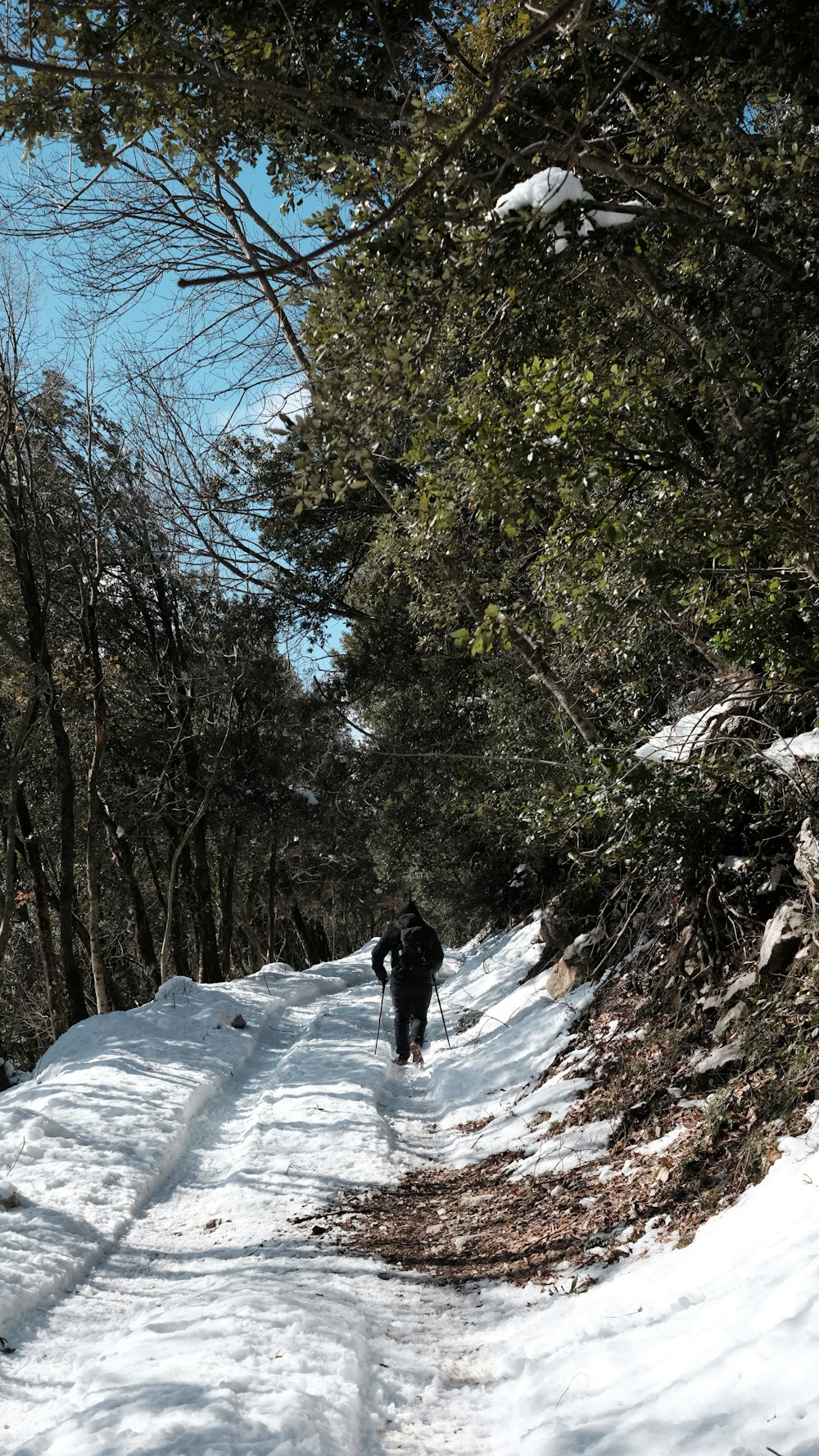 a person walking down a snow covered path