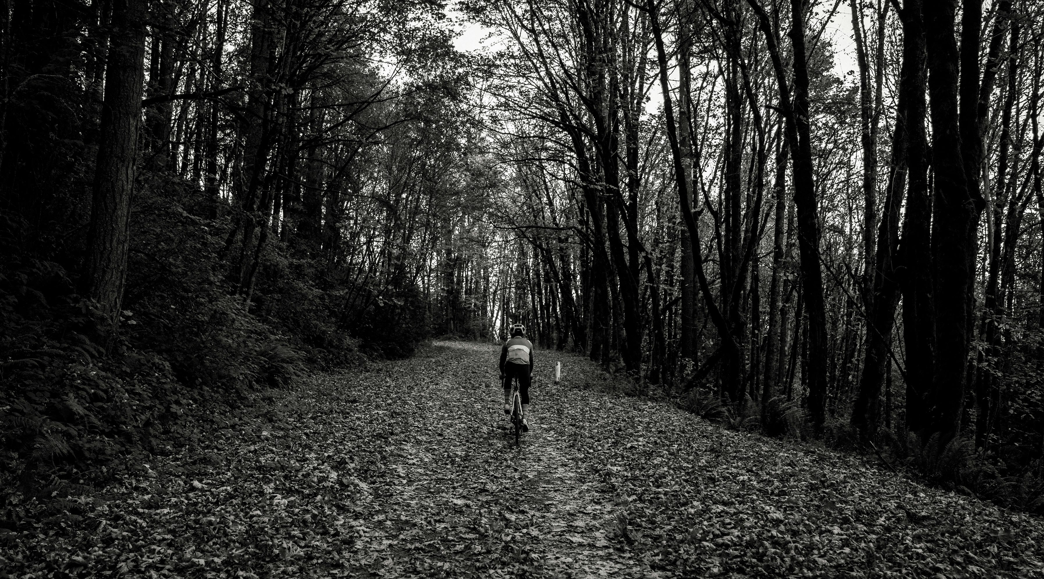 Photo by benguernsey