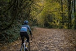 Cyclist riding along a forest trail surrounded by autumn leaves.