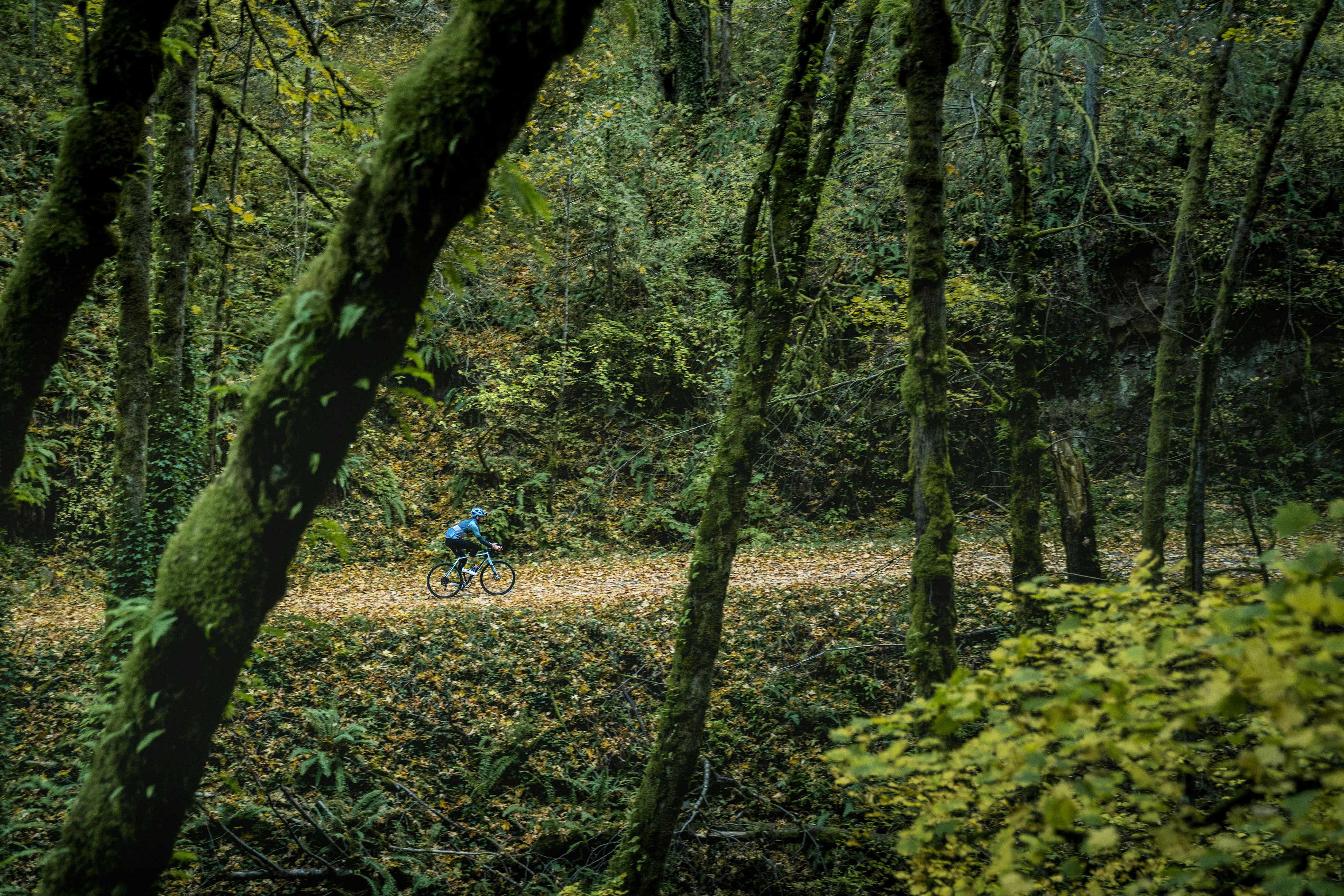 This is an image of a cyclist taking a bike ride in the fall.