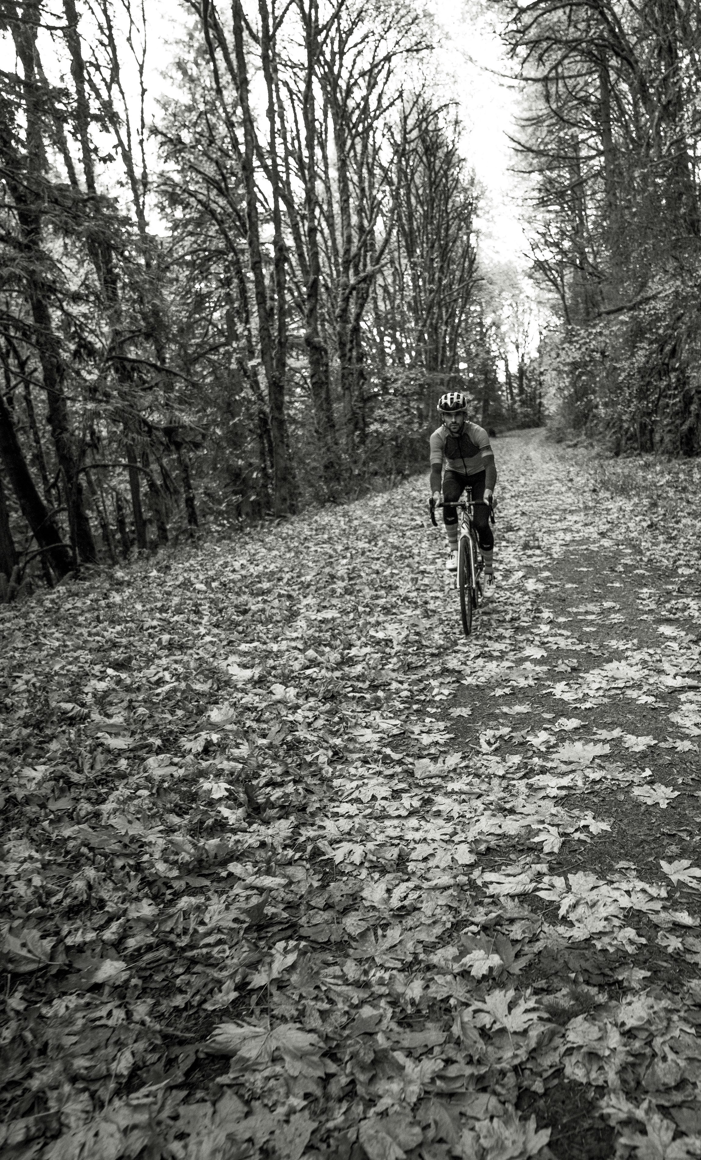 a man riding a bike down a leaf covered road