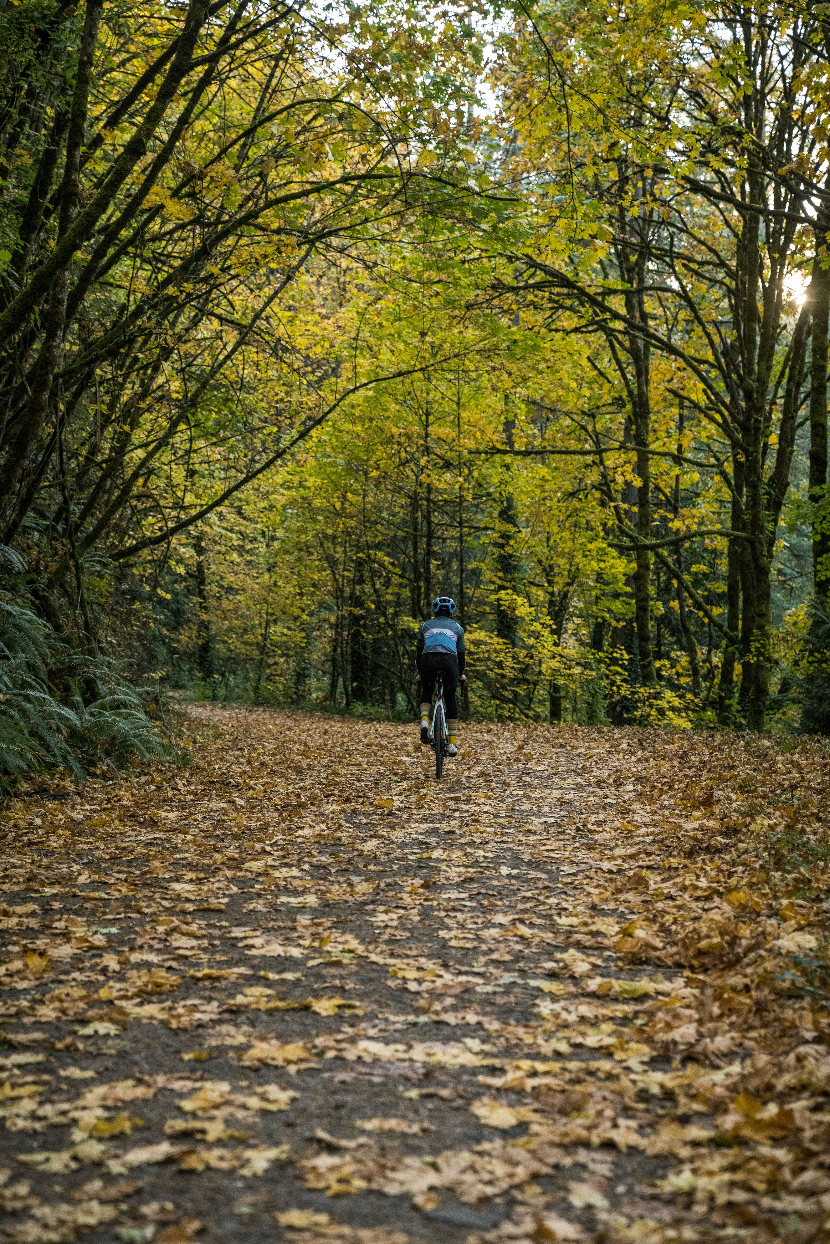 Photo by benguernsey