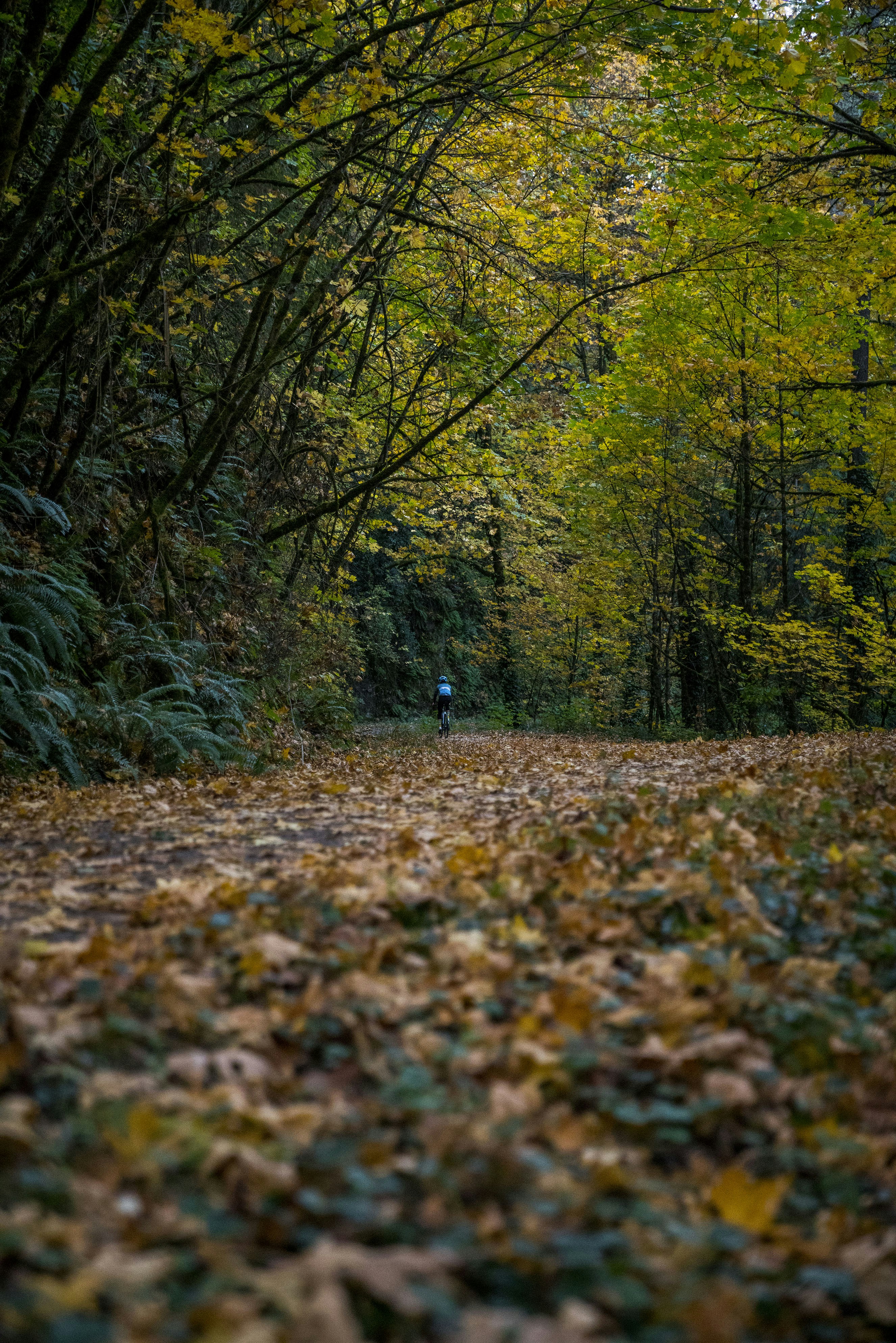 Photo by benguernsey