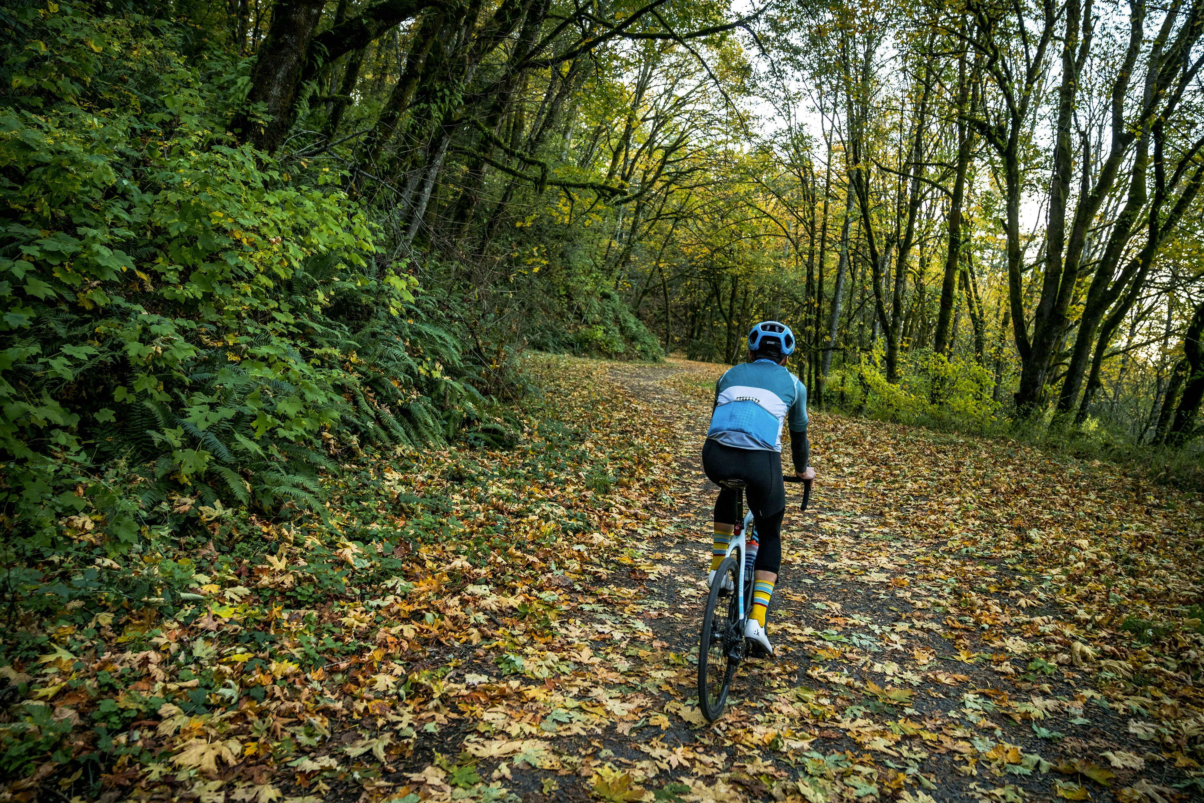 a man riding a bike down a leaf covered road
