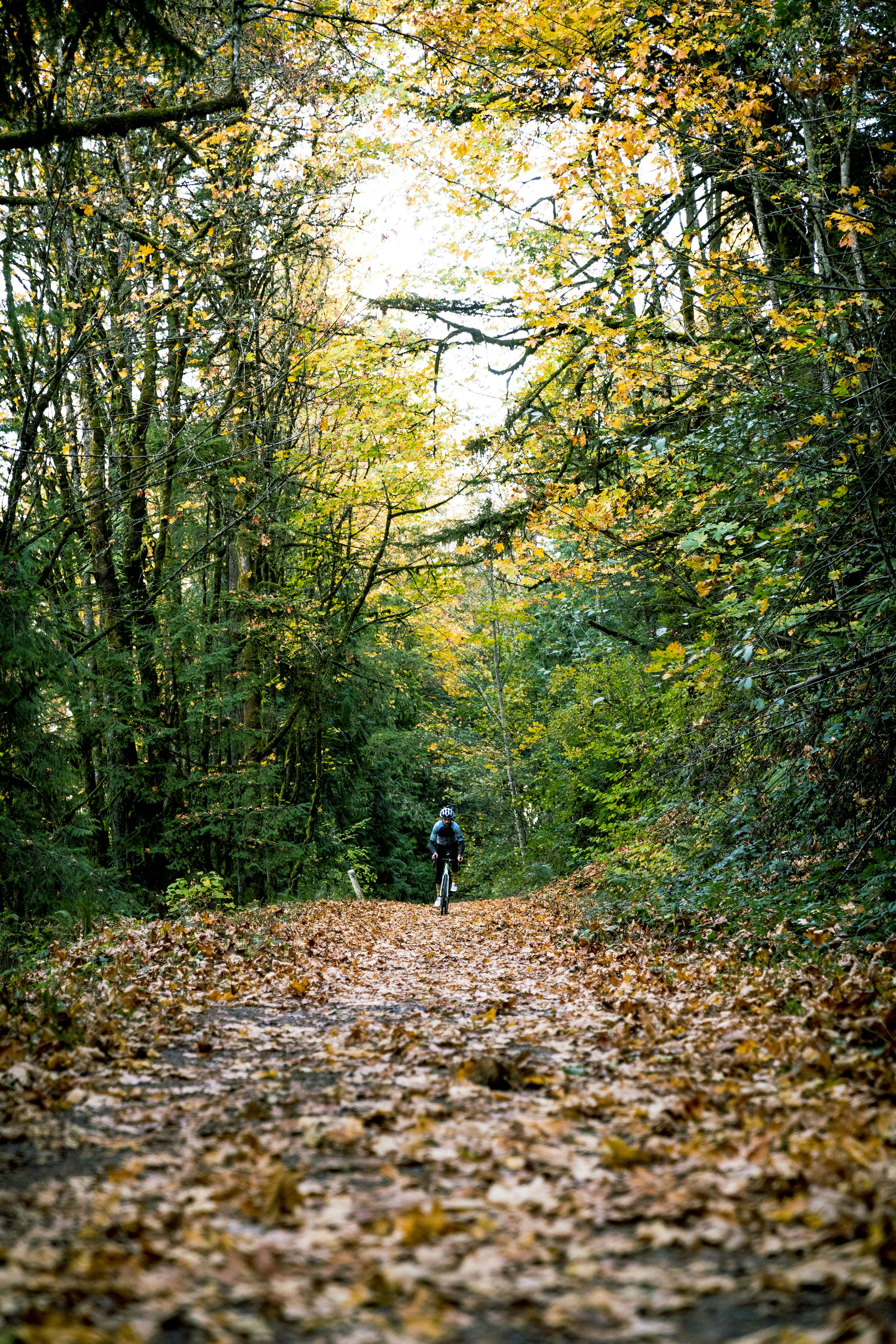 Photo by benguernsey