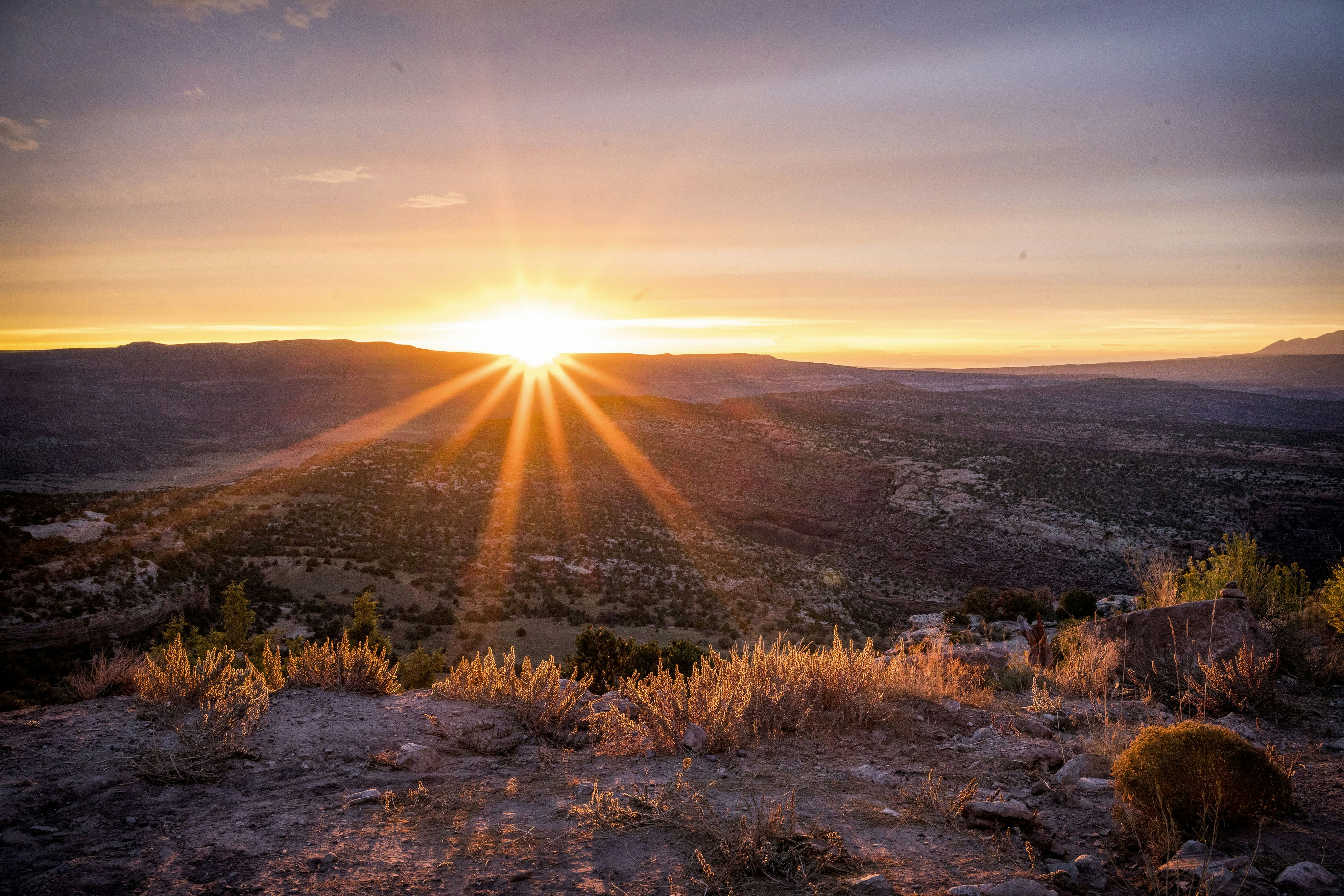 Photo by benguernsey