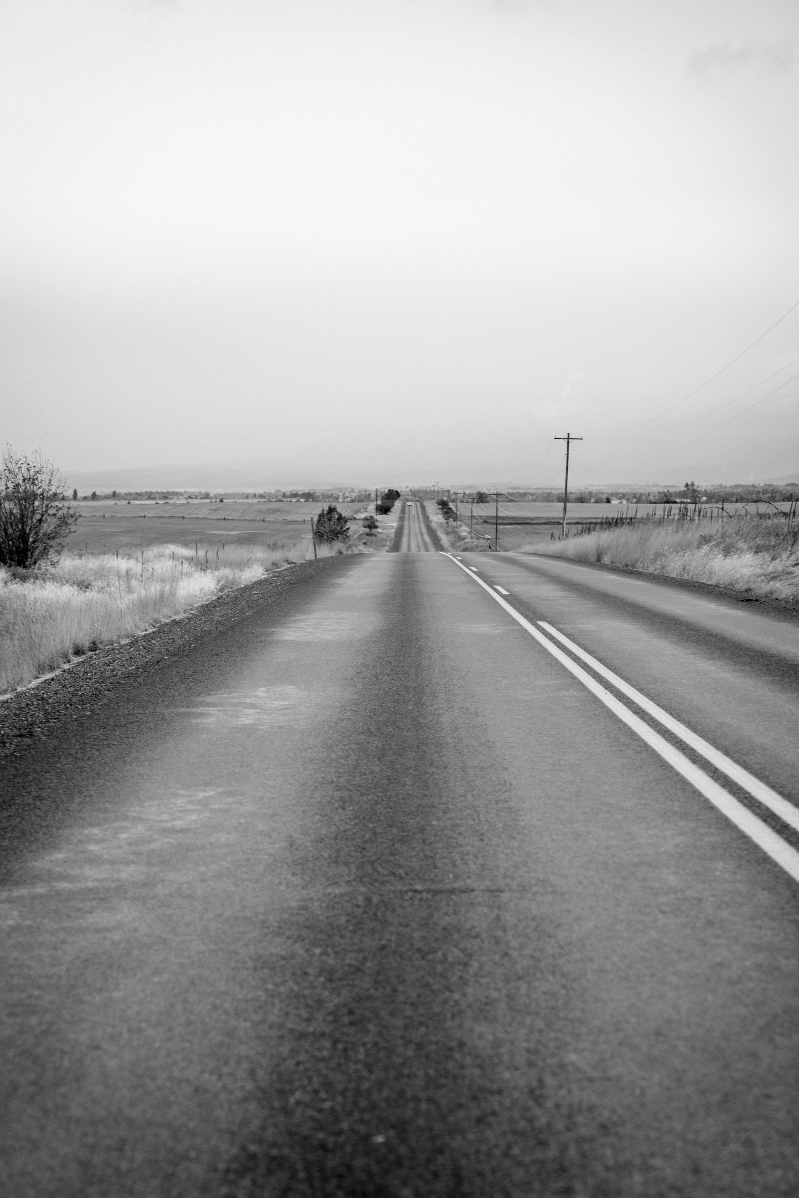 Photo by benguernsey