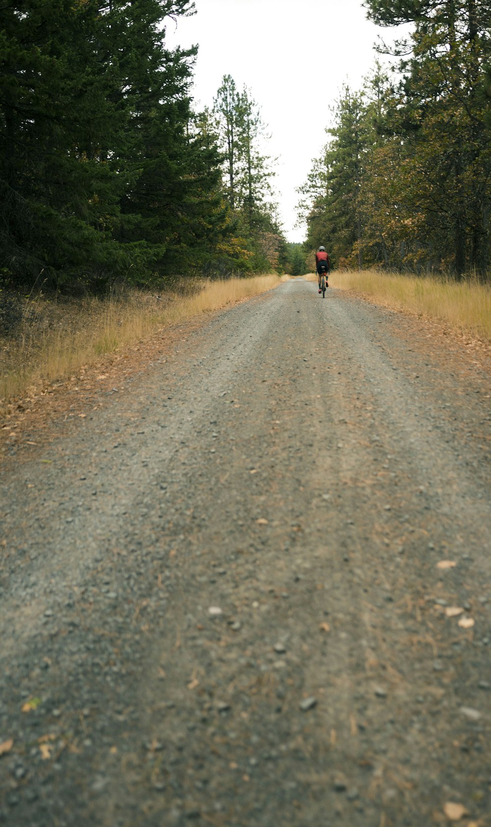 a person riding a bike down a dirt road