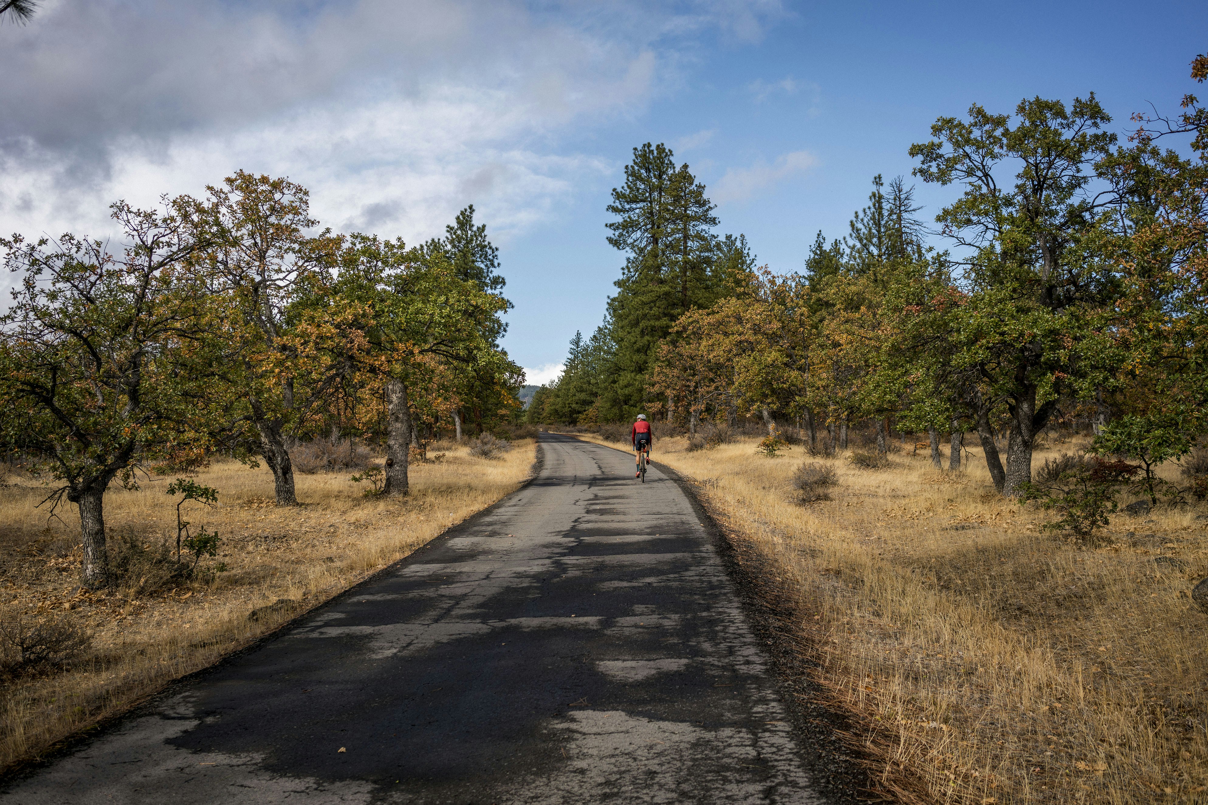 Photo by benguernsey