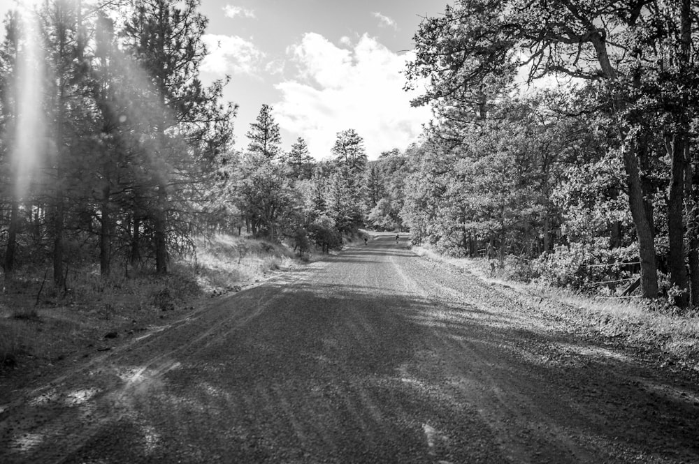 a black and white photo of a dirt road