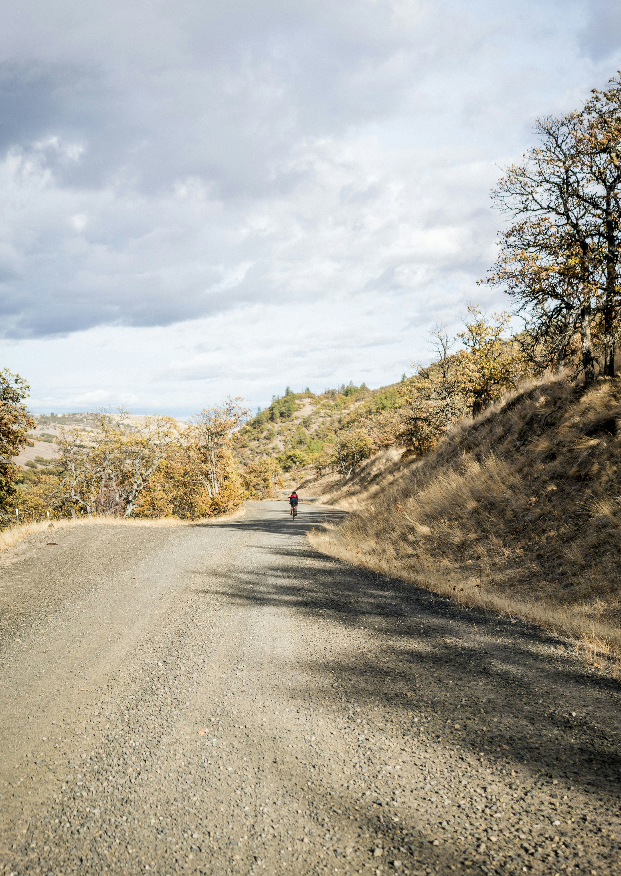 Photo by benguernsey