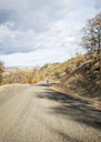 Gravel bike crossing a peaceful dirt road with rolling hills and vineyards.