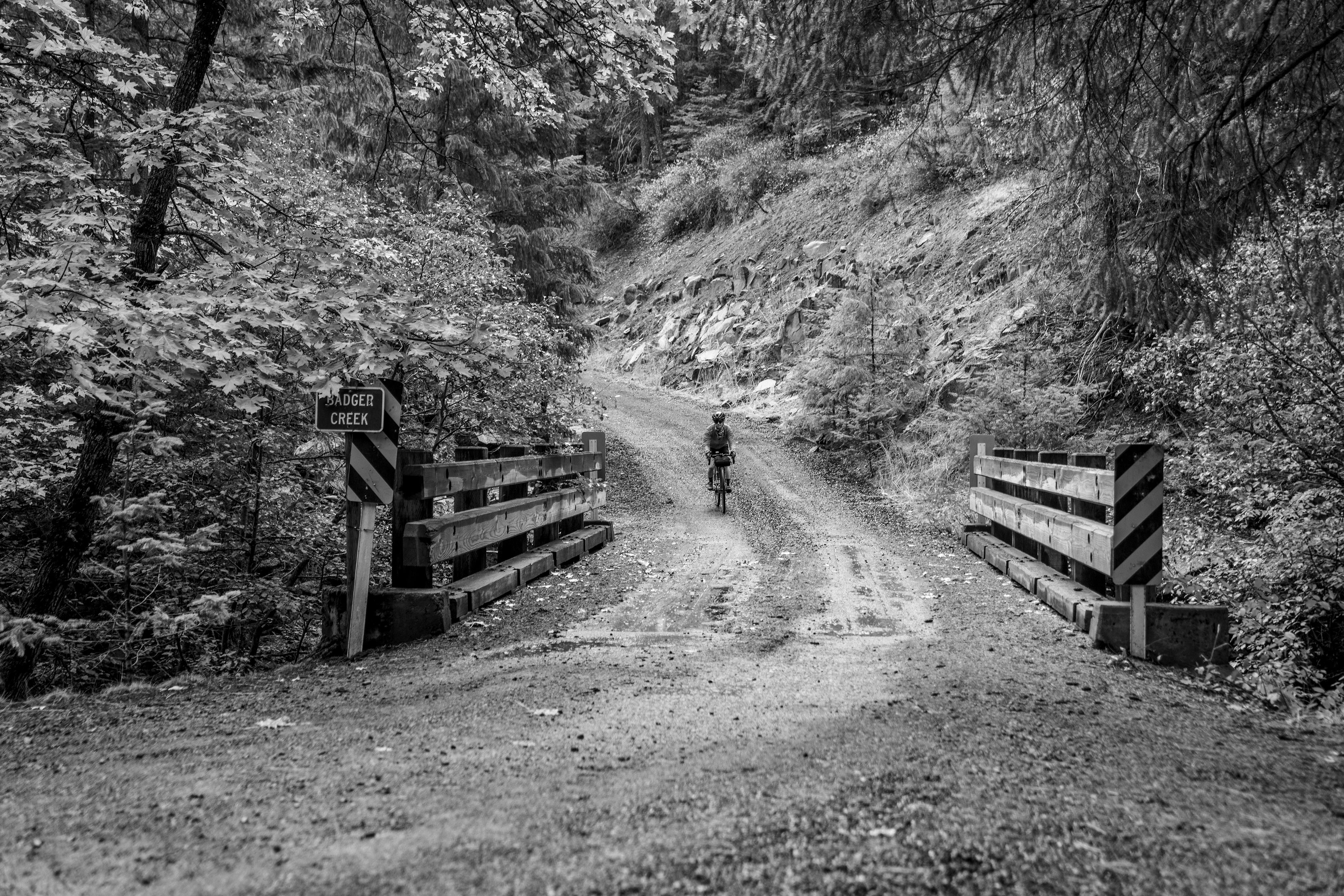 Photo by benguernsey