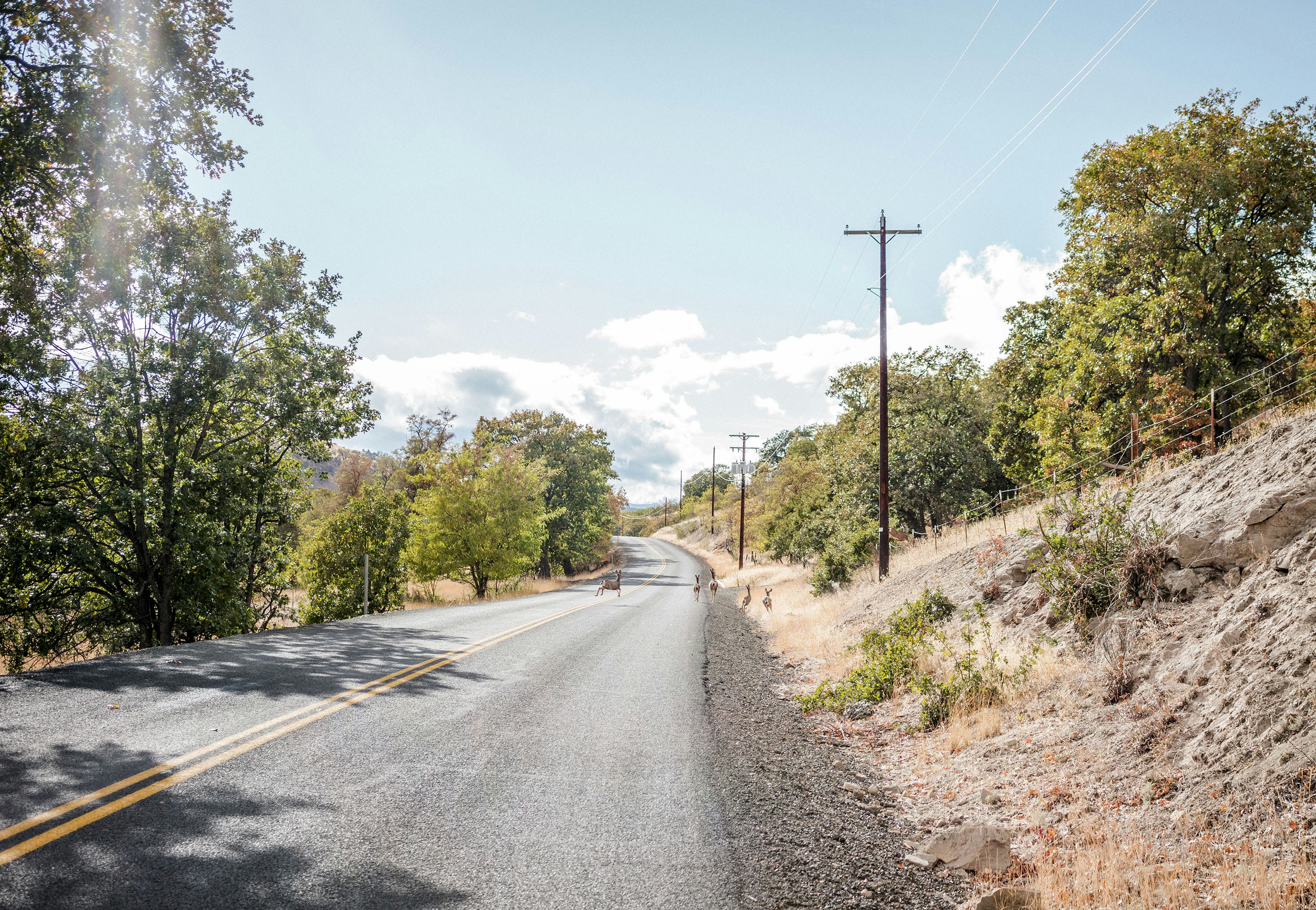 Photo by benguernsey