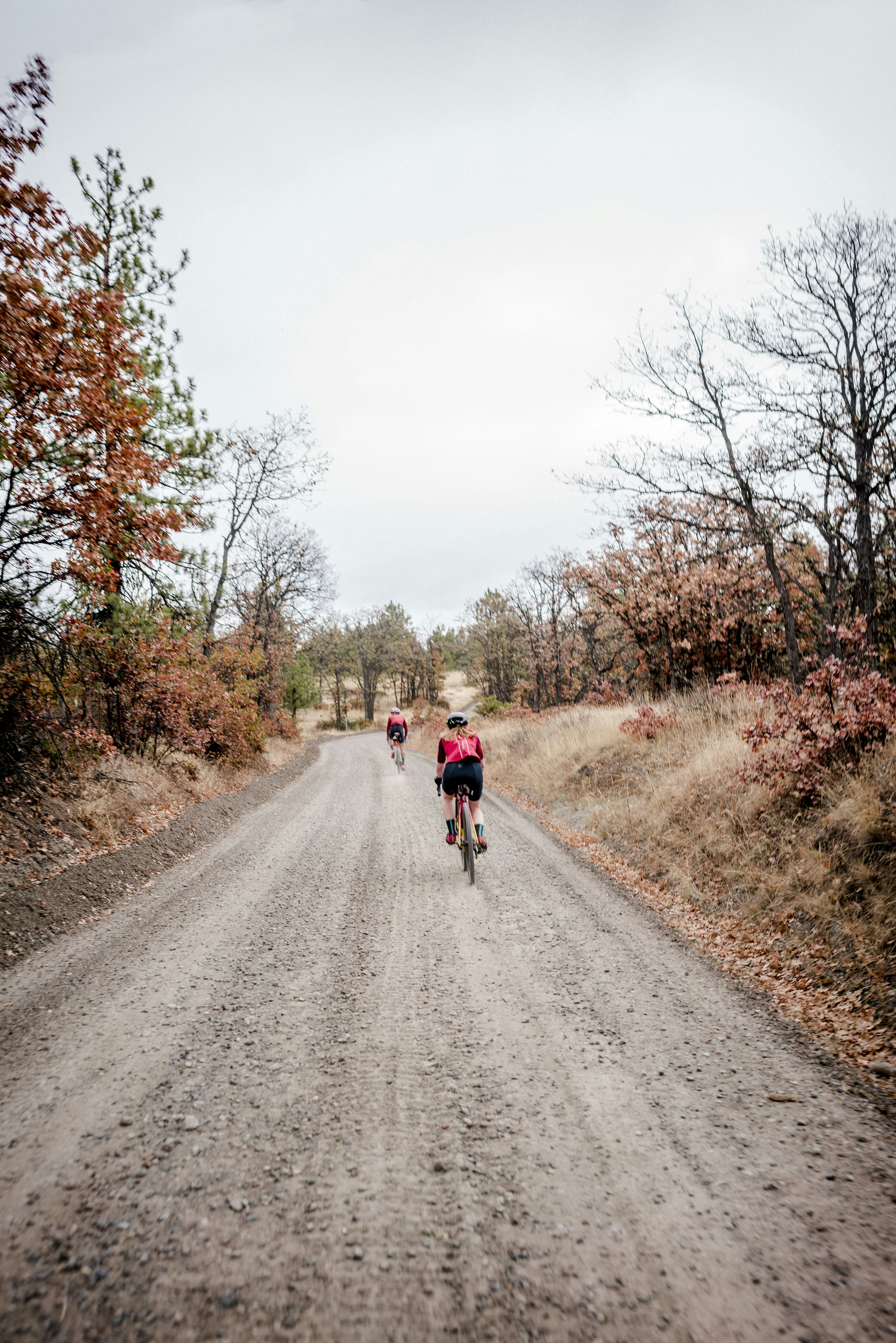 Photo by benguernsey