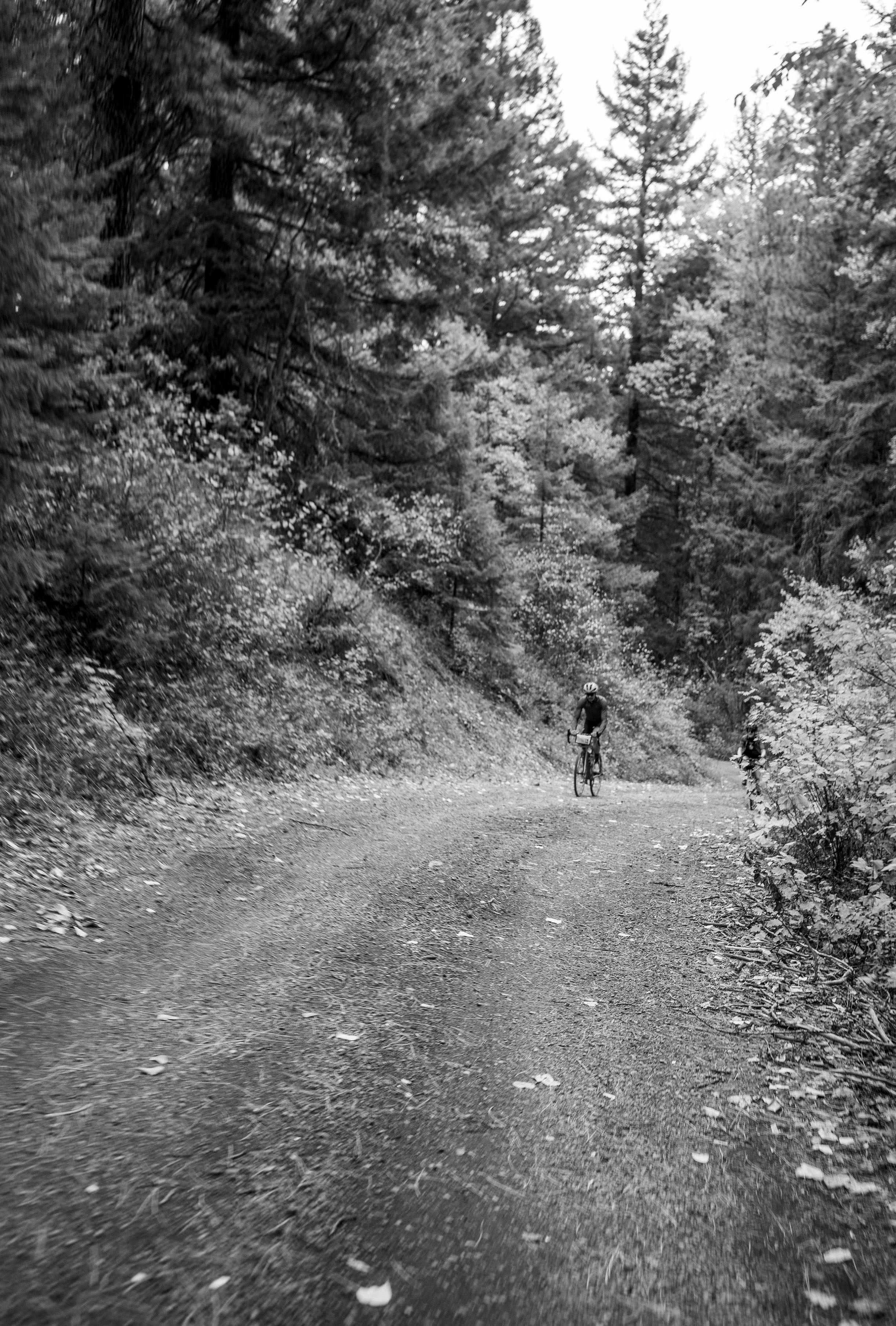 a person riding a bike down a dirt road
