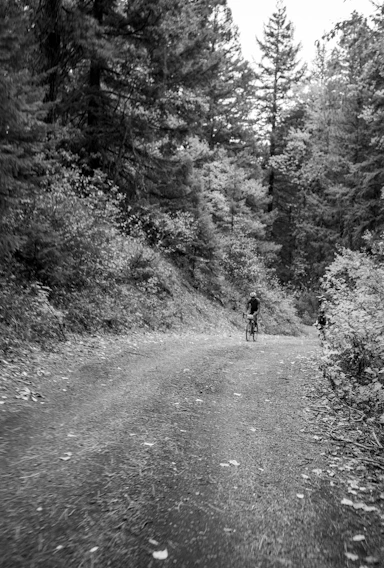 A gravel cyclist riding through a misty forest trail at dawn, surrounded by autumn leaves.