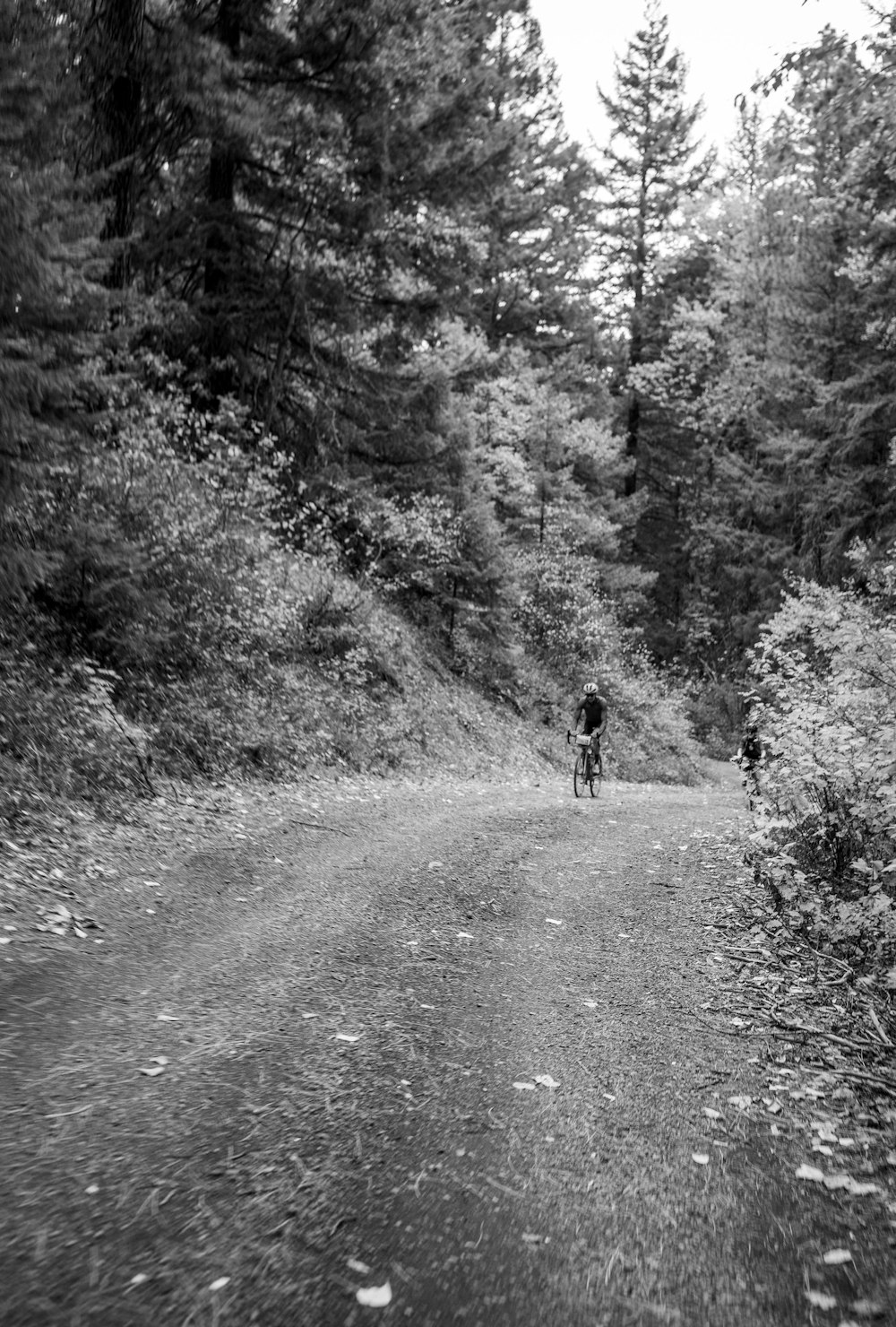 a person riding a bike down a dirt road