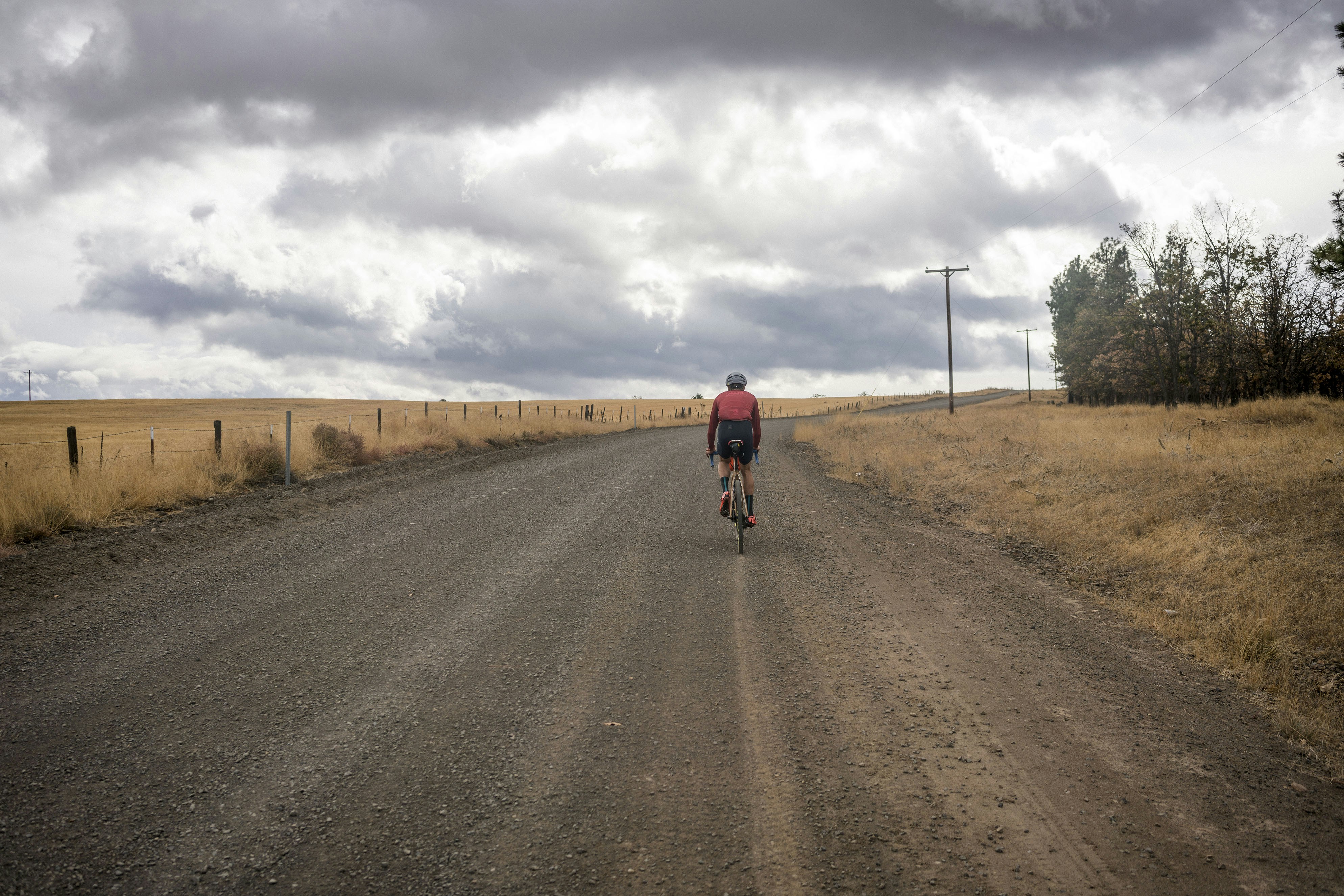 Photo by benguernsey