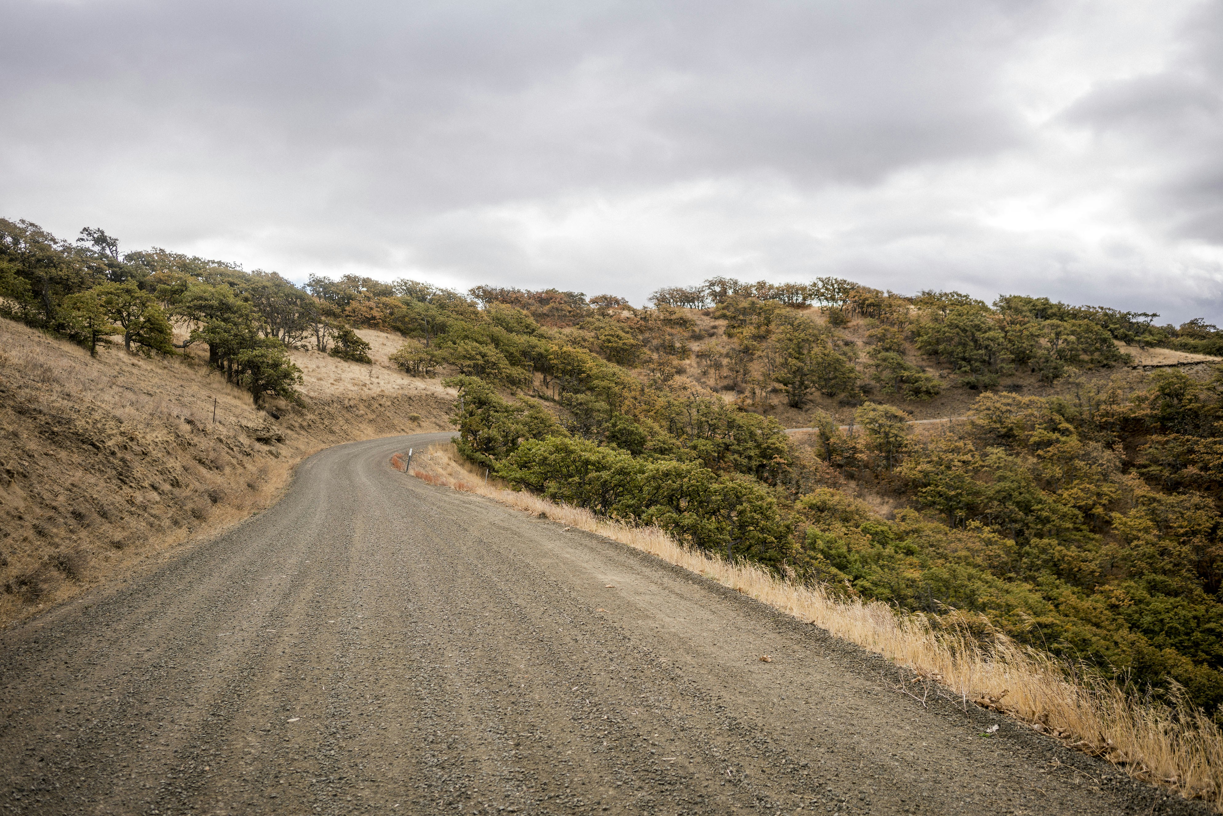 Photo by benguernsey