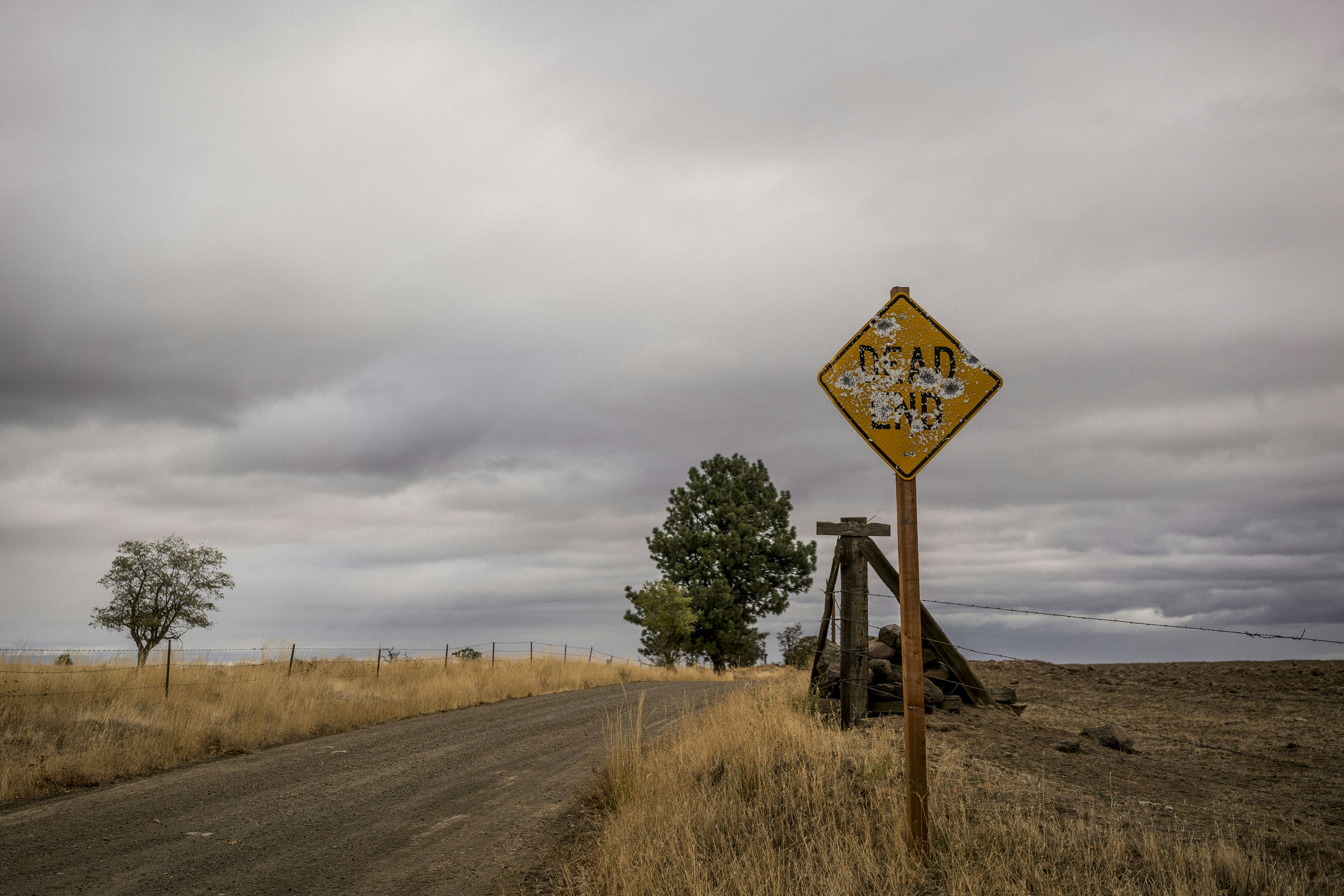 Photo by benguernsey