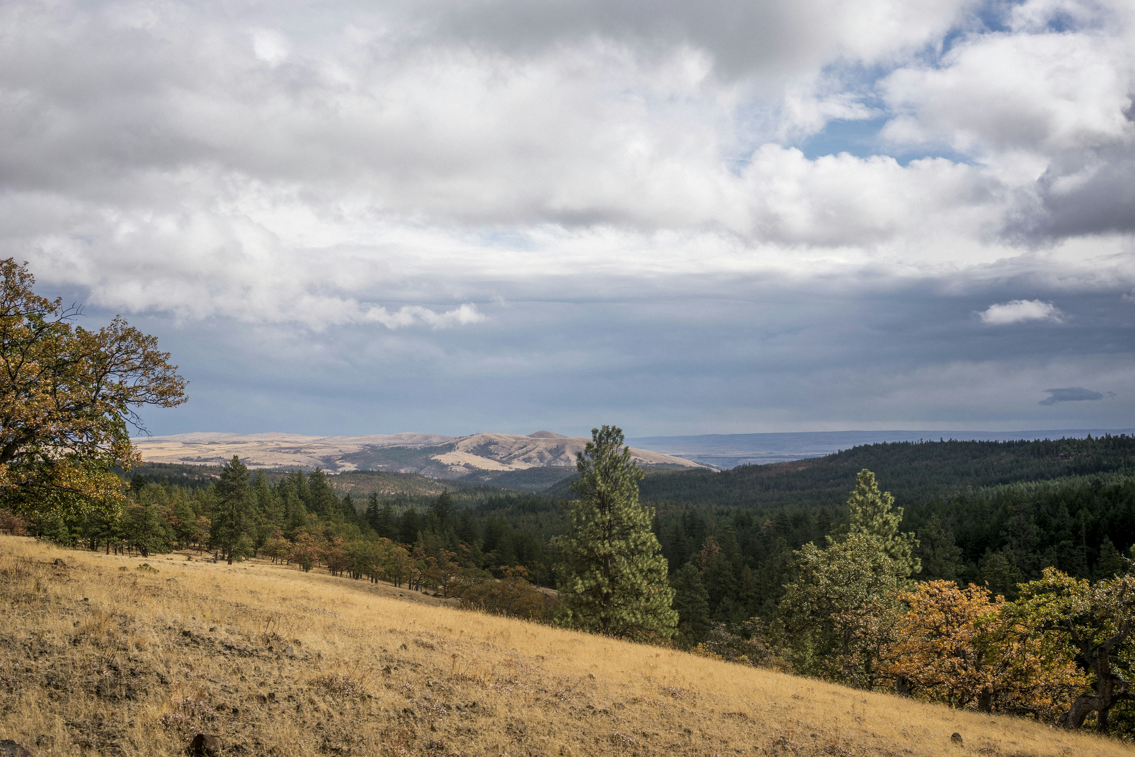 Photo by benguernsey