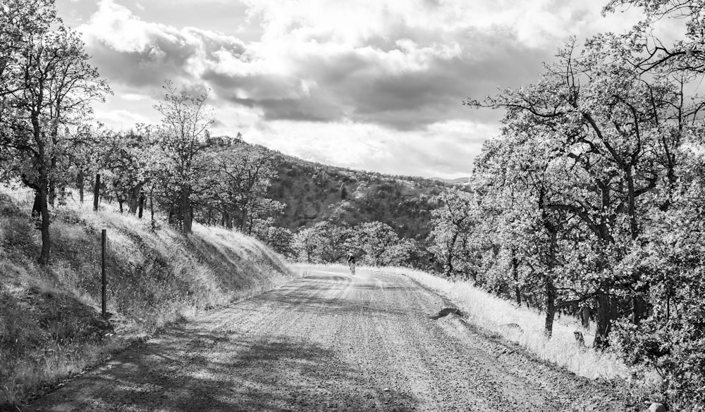 a black and white photo of a dirt road