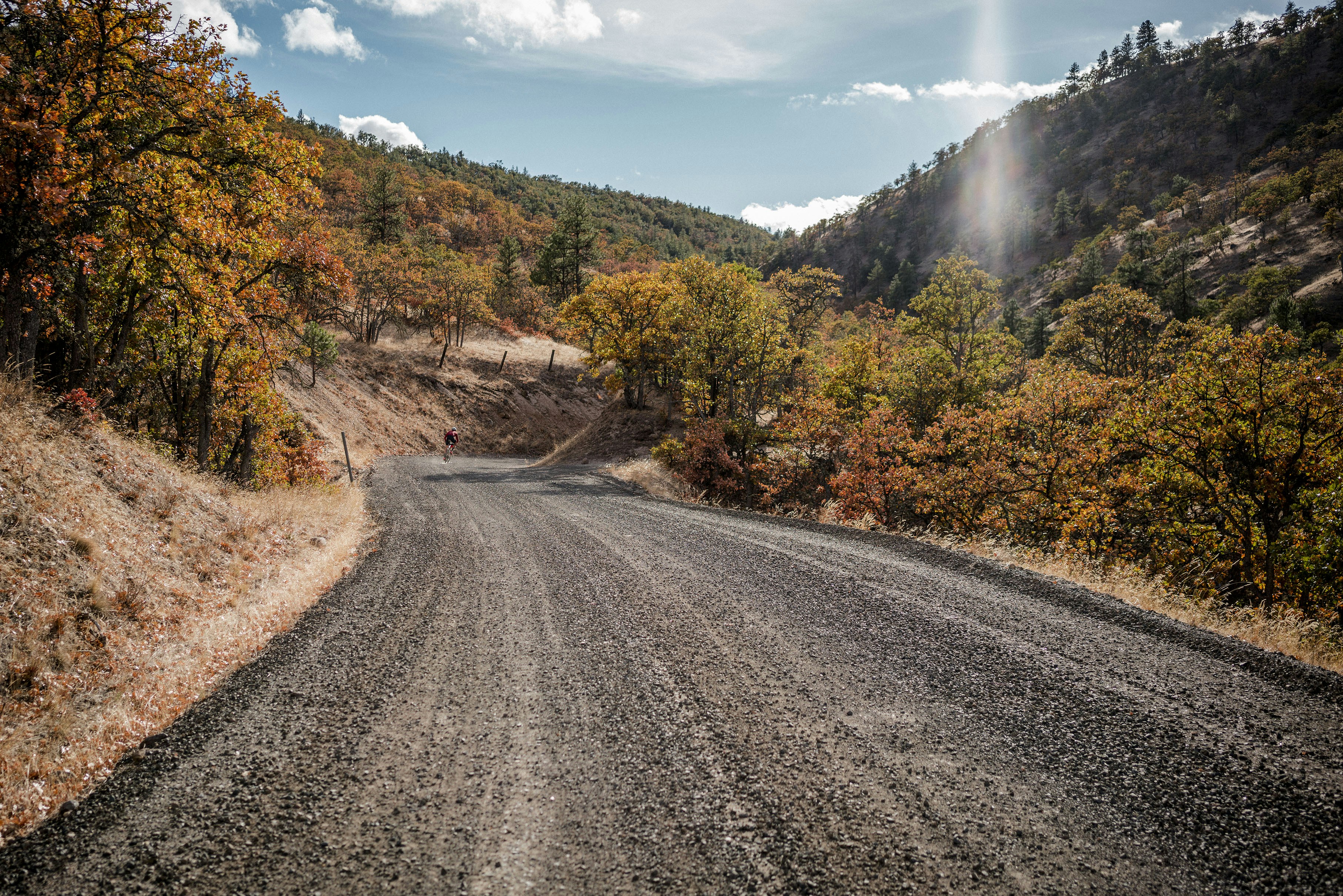 Photo by benguernsey