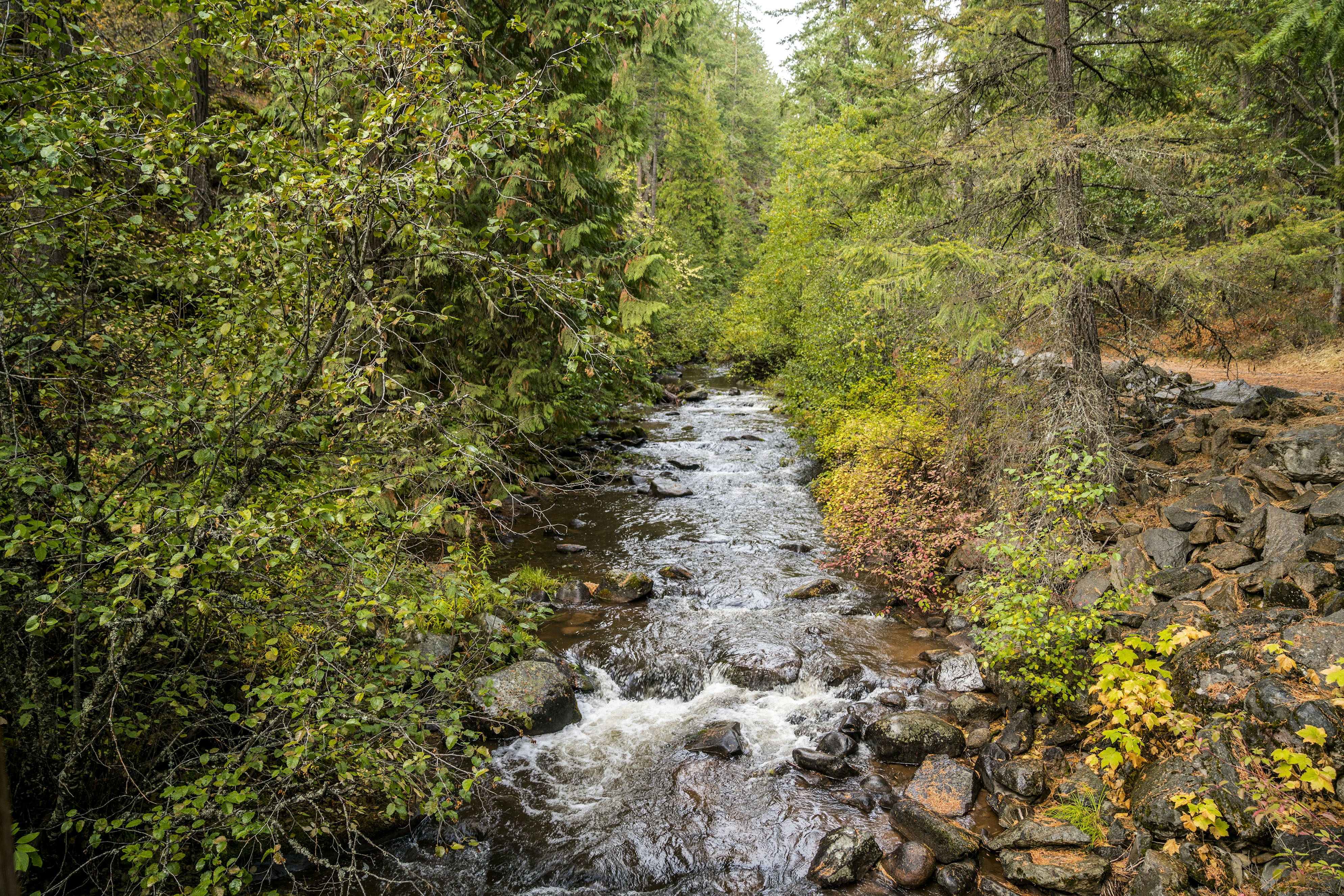 Photo by benguernsey