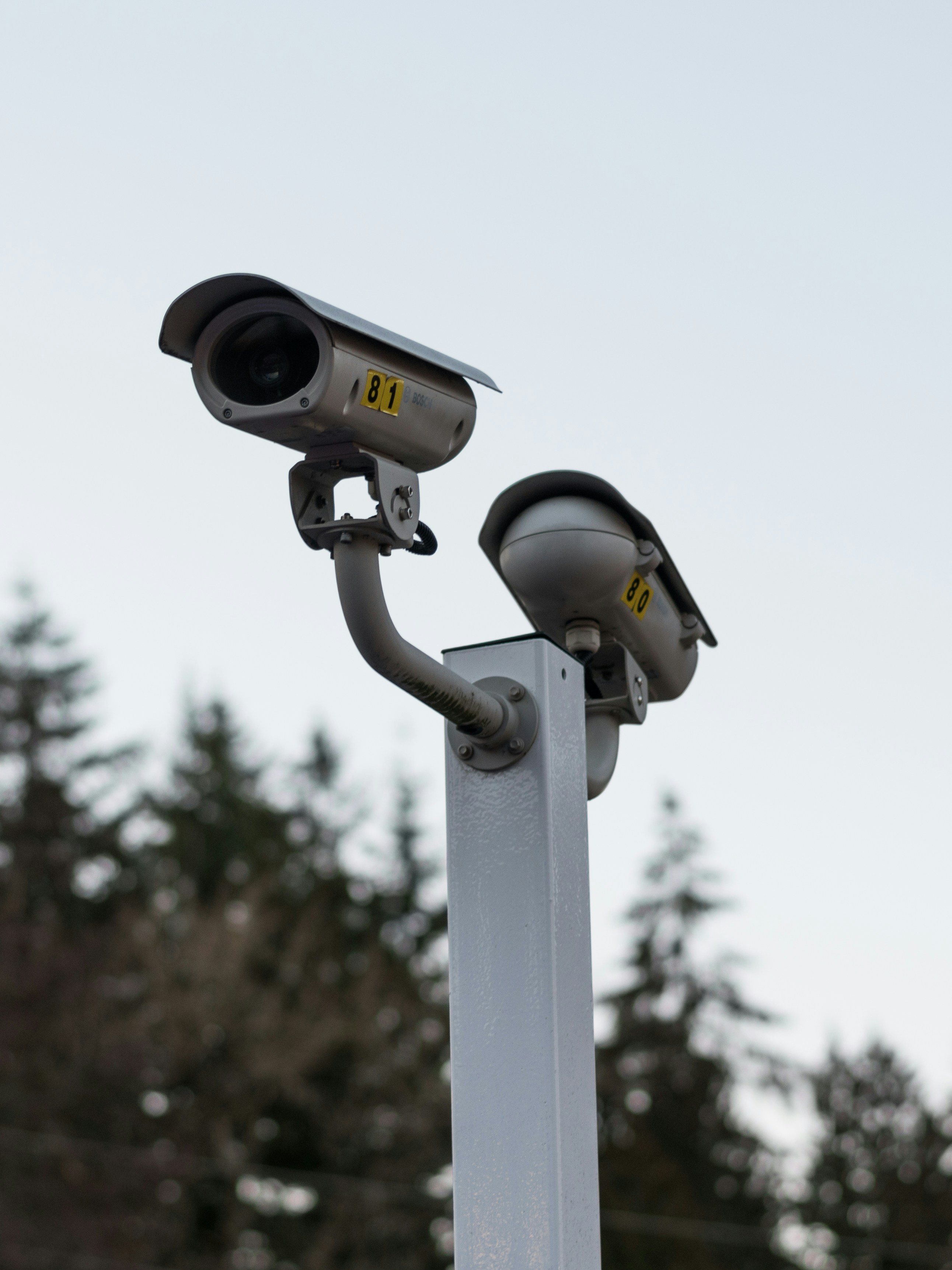two cameras on top of a pole with trees in the background