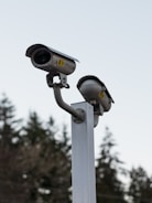 Two surveillance cameras are mounted on a tall metallic pole with a background of blurred evergreen trees under an overcast sky.