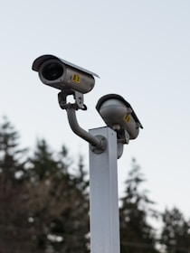 Two surveillance cameras are mounted on a tall metallic pole with a background of blurred evergreen trees under an overcast sky.
