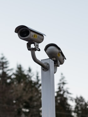 Two surveillance cameras are mounted on a tall metallic pole with a background of blurred evergreen trees under an overcast sky.