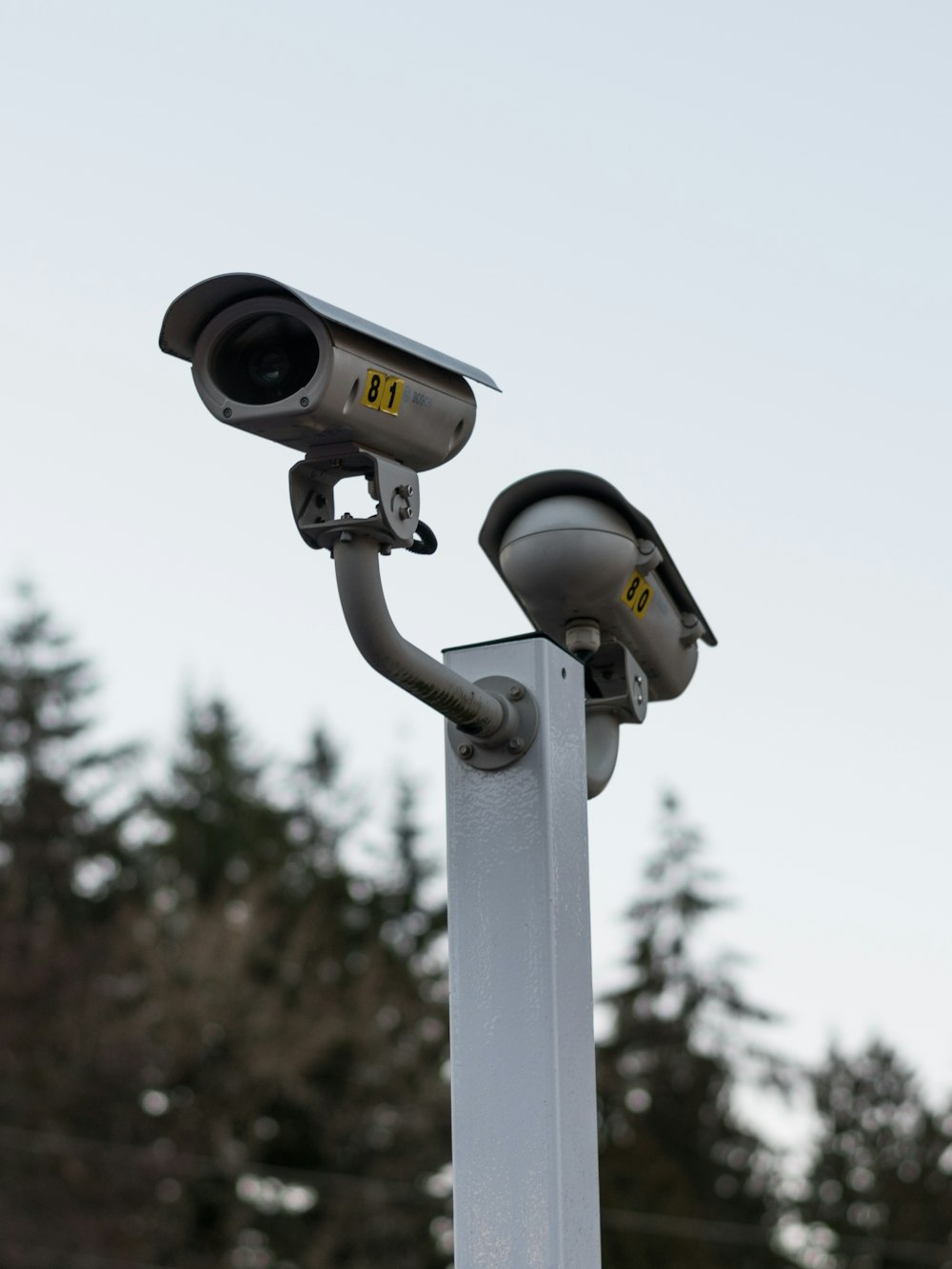 two cameras on top of a pole with trees in the background