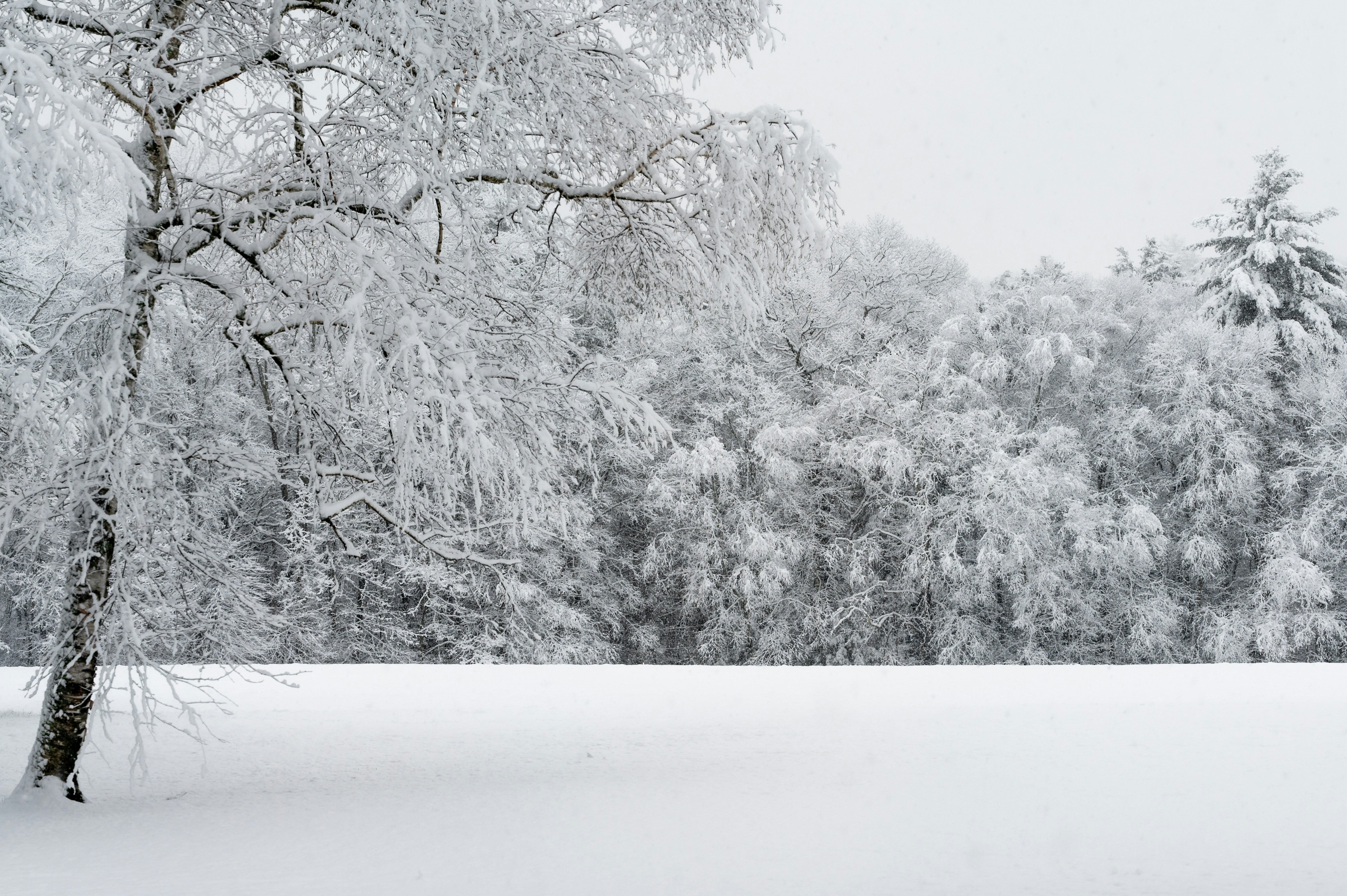 Photo by carrie_borden